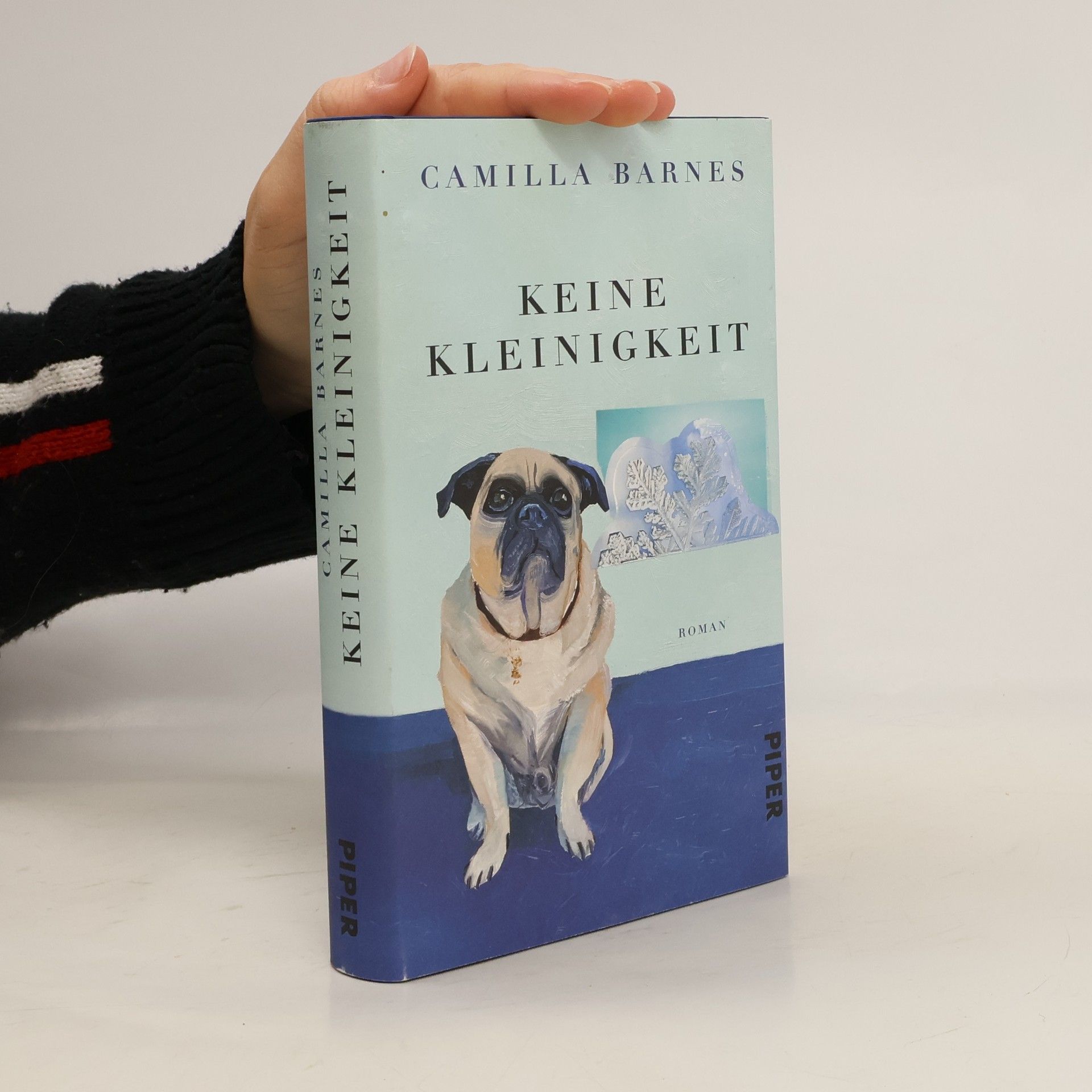 Camilla Barnes Keine Kleinigkeit