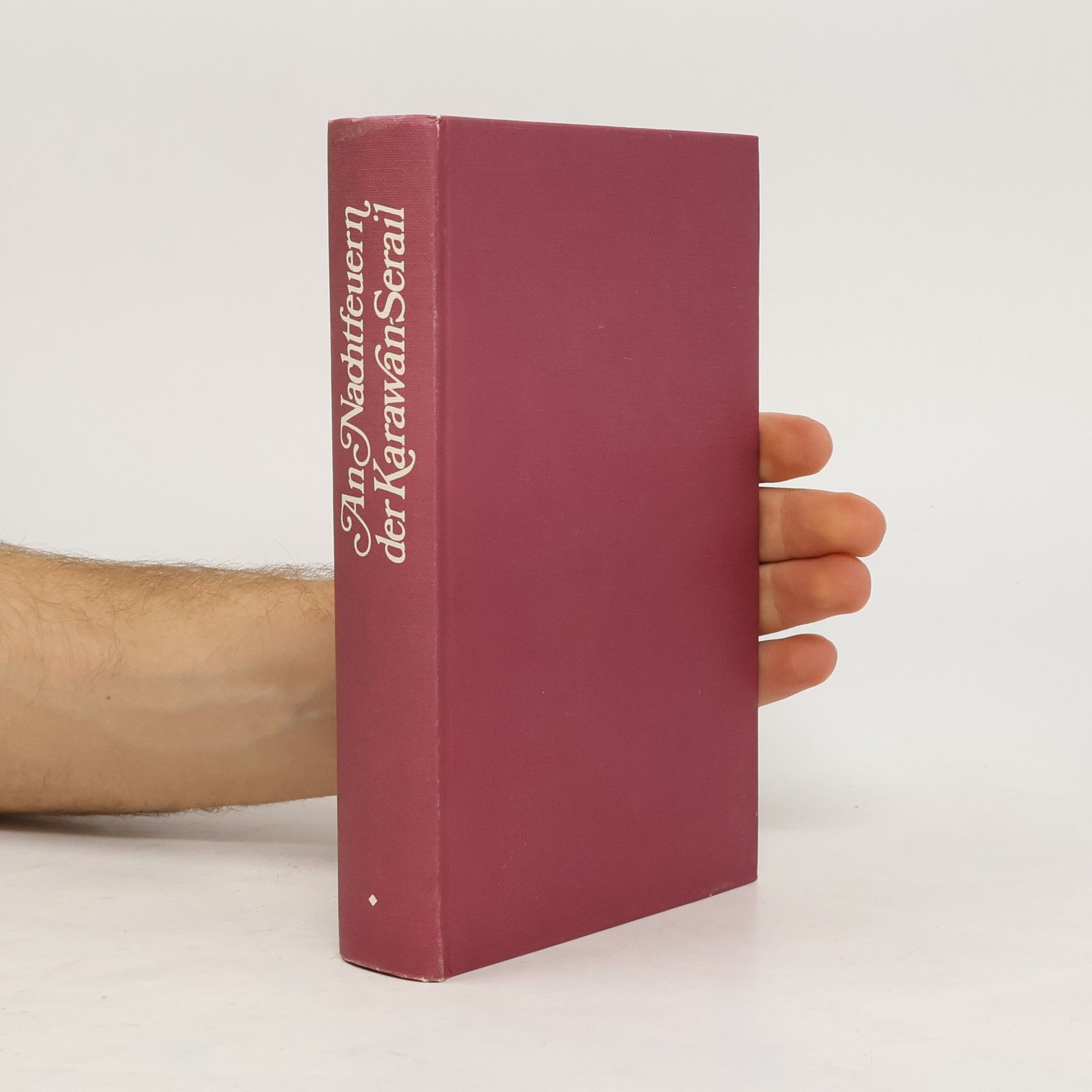 An Nachtfeuern der Karawan-Serail