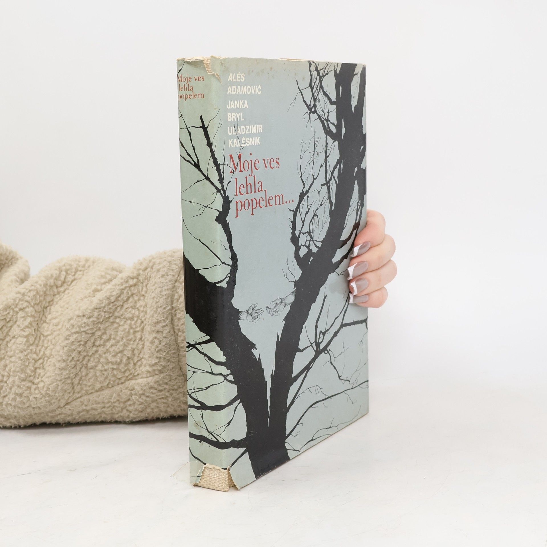 Moje ves lehla popelem...