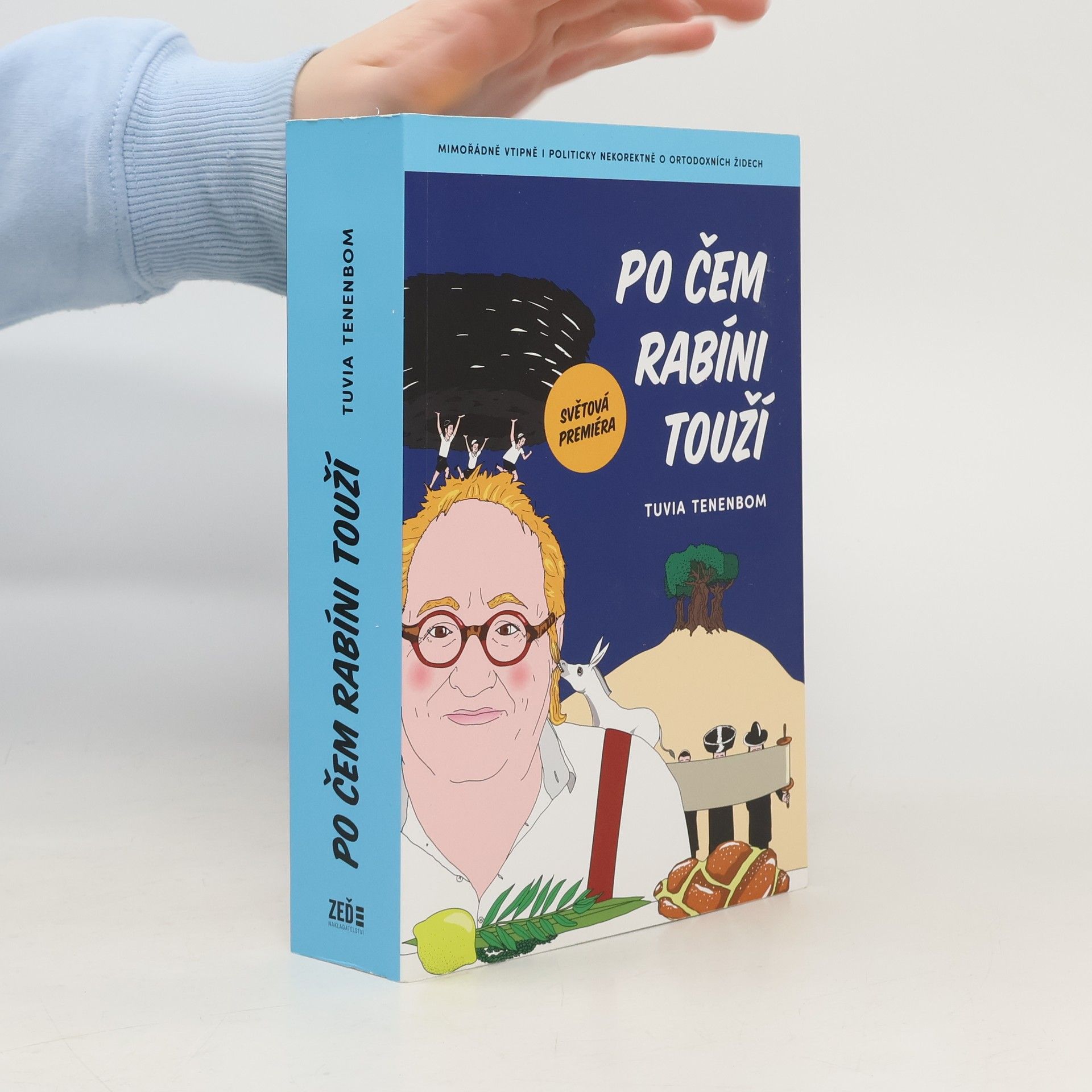 Po čem rabíni touží : mimořádně vtipná i politicky nekorektní zpráva o ortodoxních Židech