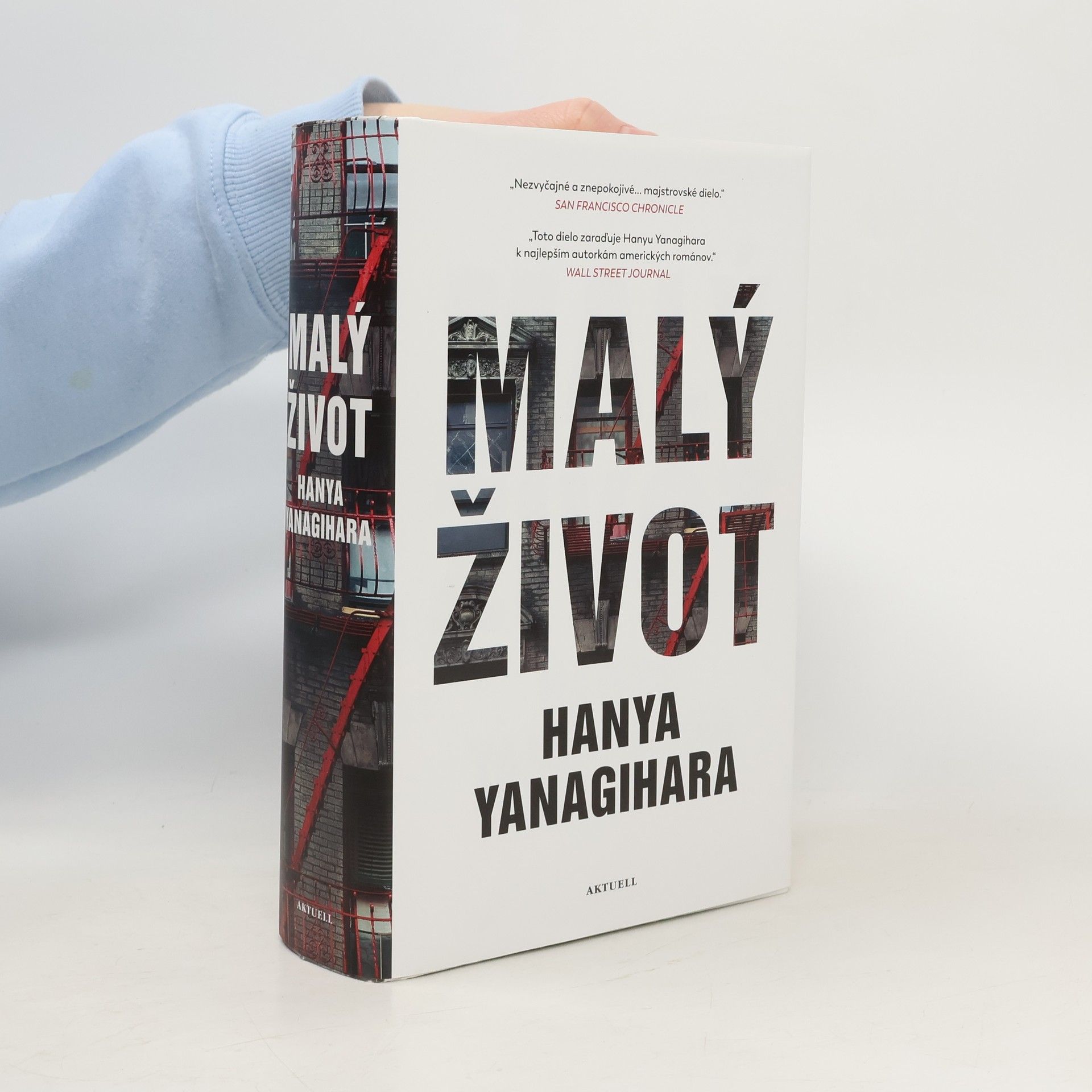 Hanya Yanagihara Malý život