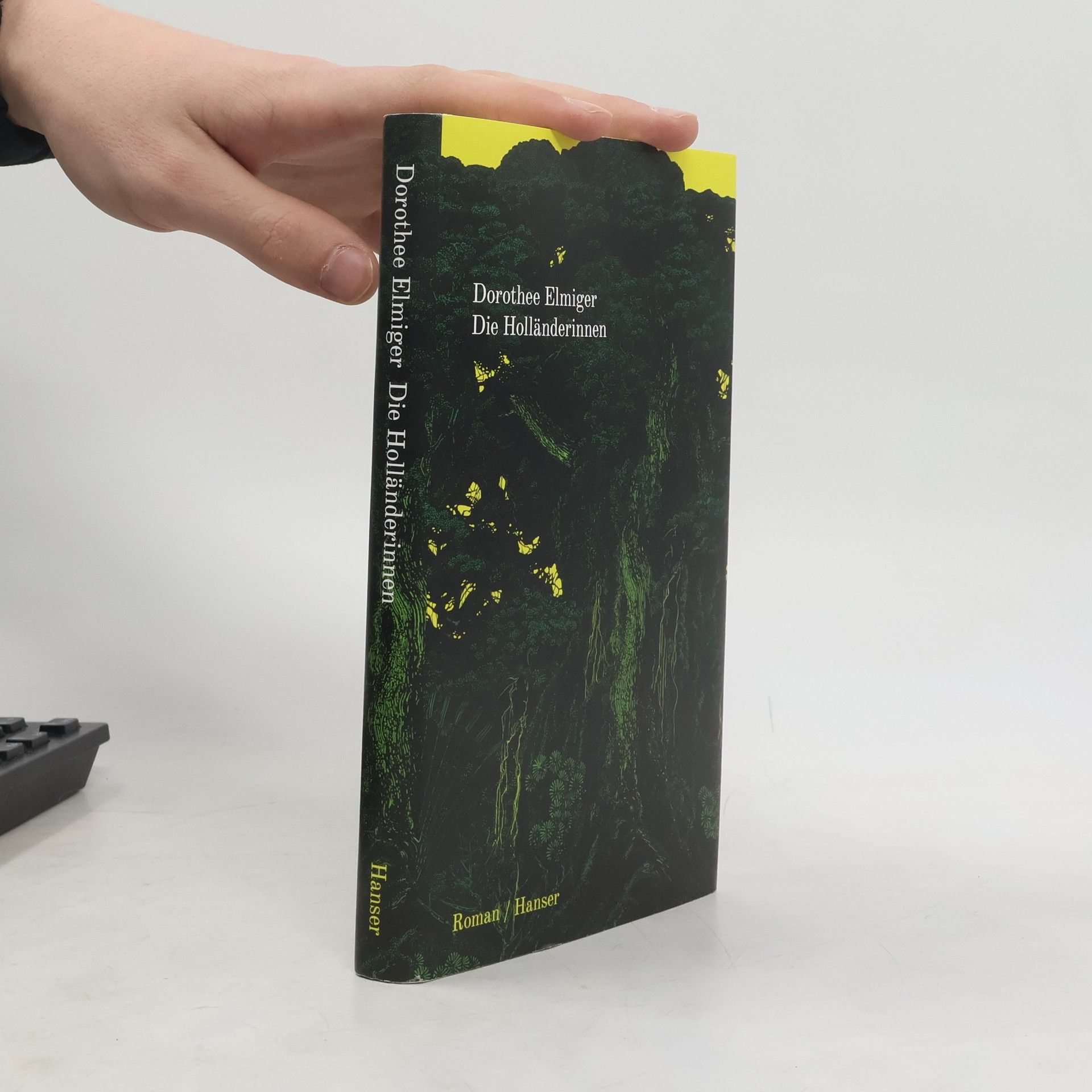 Dorothee Elmiger Die Holländerinnen