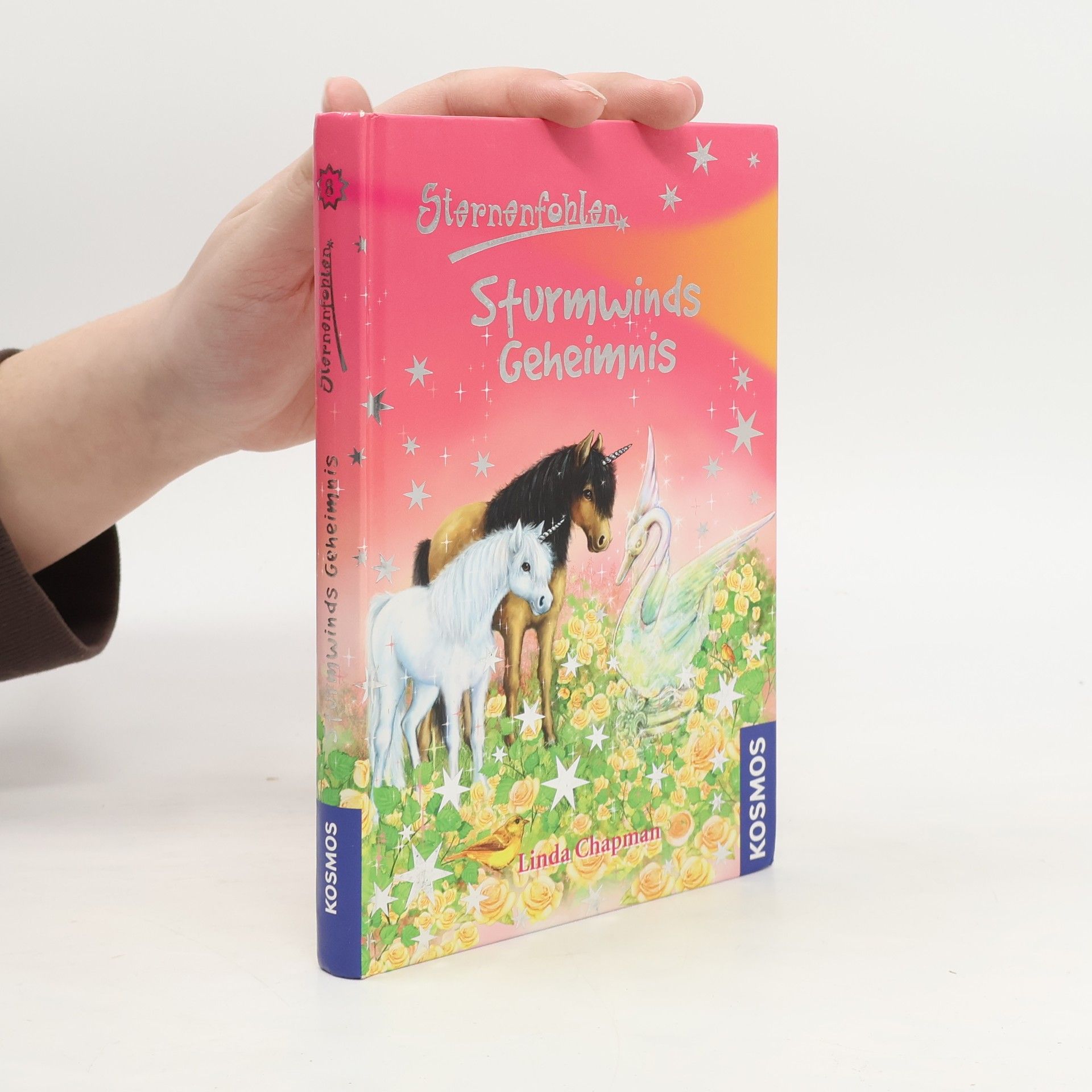 Linda Chapman Sternenfohlen 8