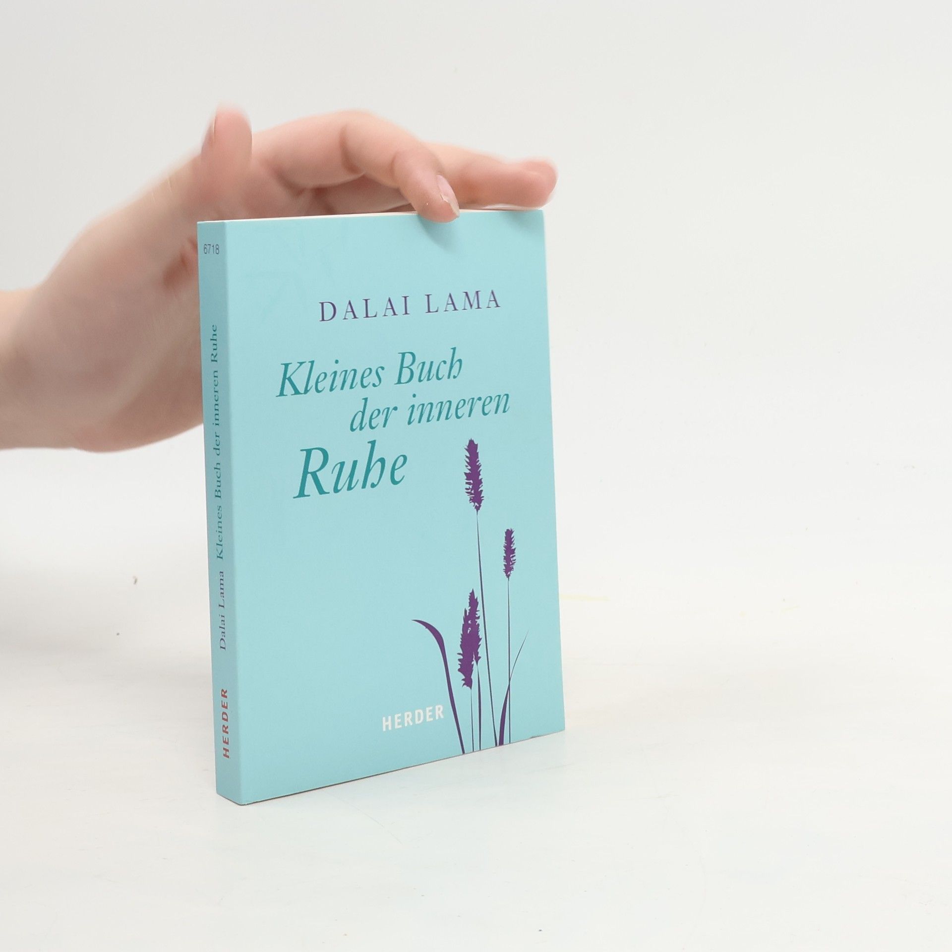 Kleines Buch der inneren Ruhe