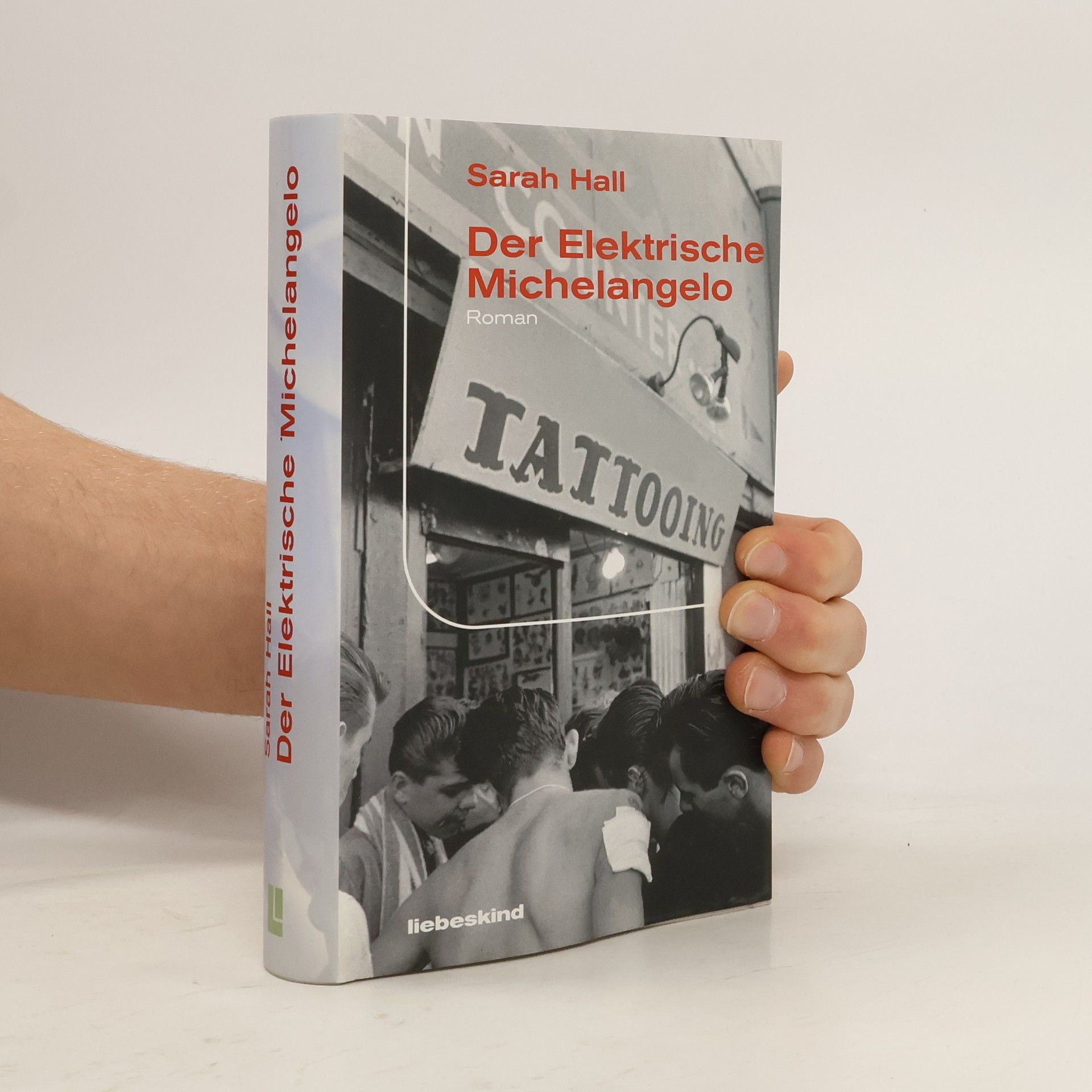 Sarah Hall Der elektrische Michelangelo