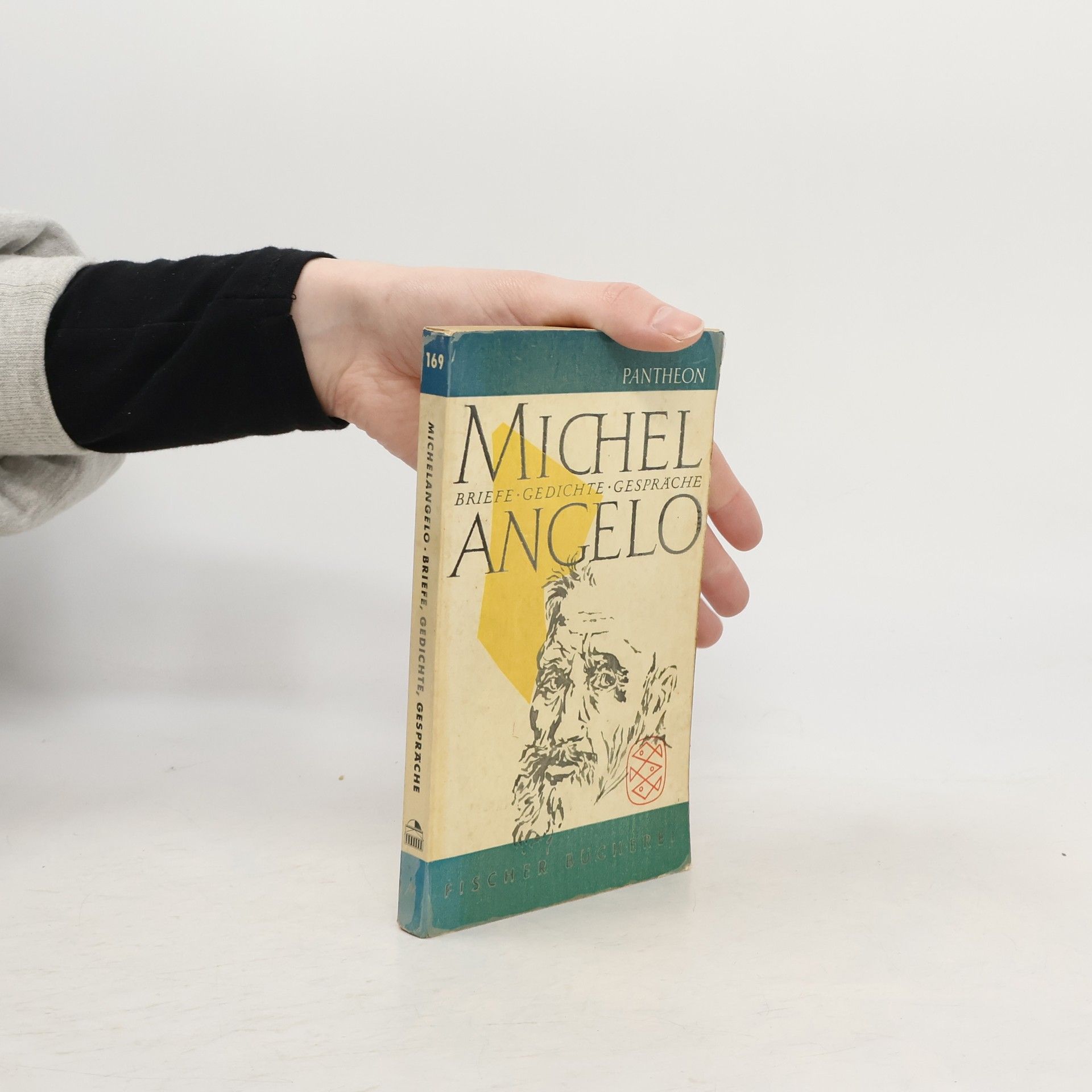 Michelangelo Buonarroti Michelangelo. Briefe, Gedichte, Gespräche