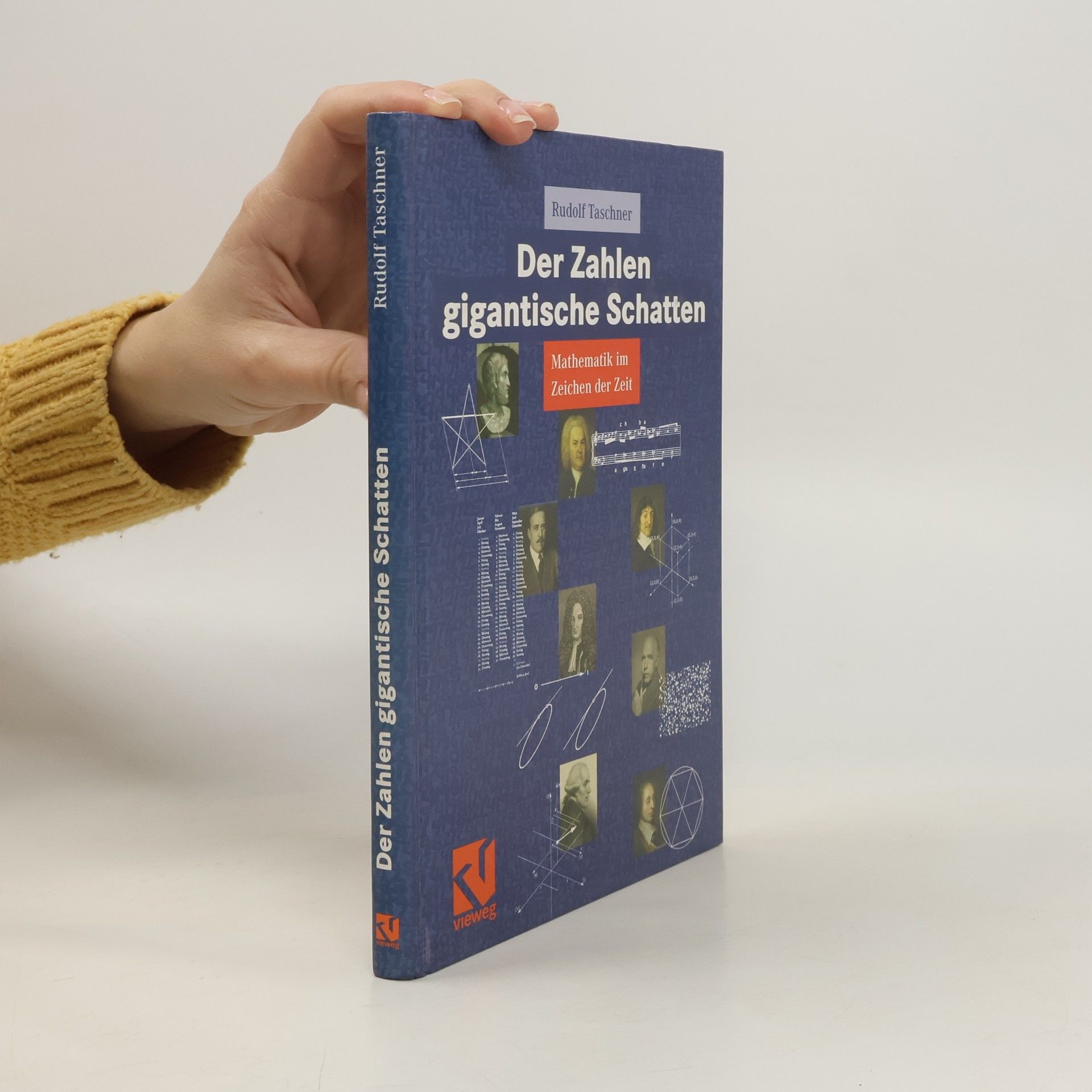 Rudolf Taschner Der Zahlen gigantische Schatten