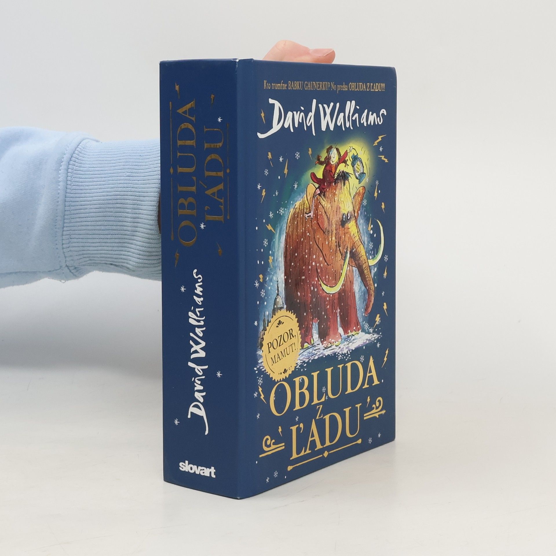 David Walliams Obluda z ľadu