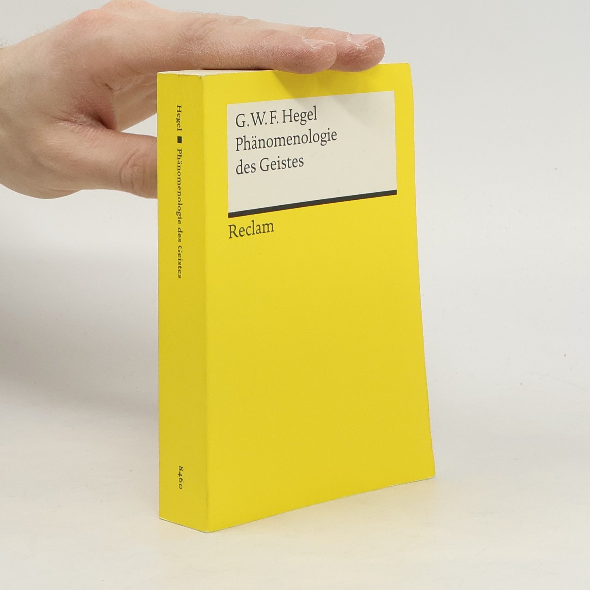 Phänomenologie des Geistes