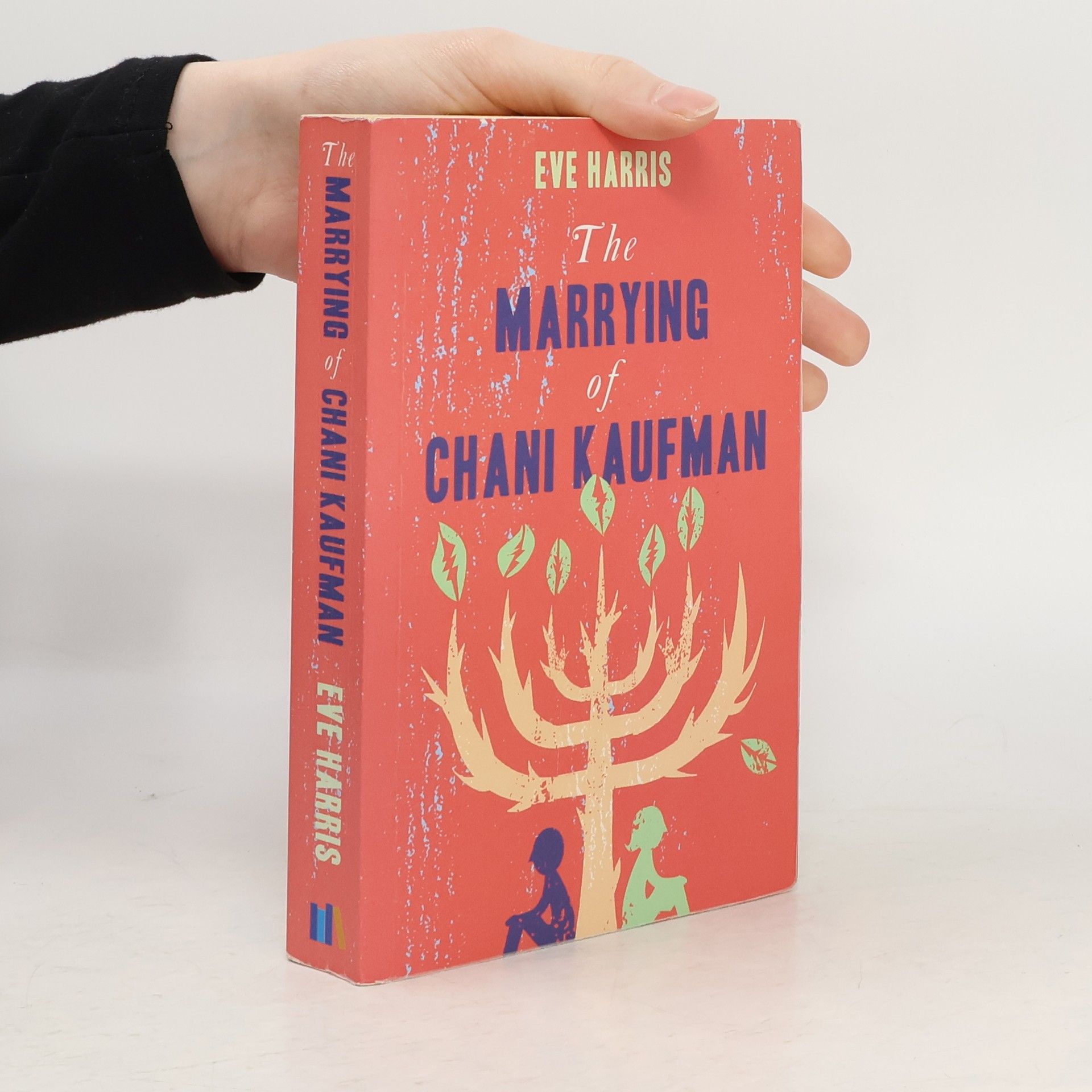 Eve Harris The Marrying of Chani Kaufman