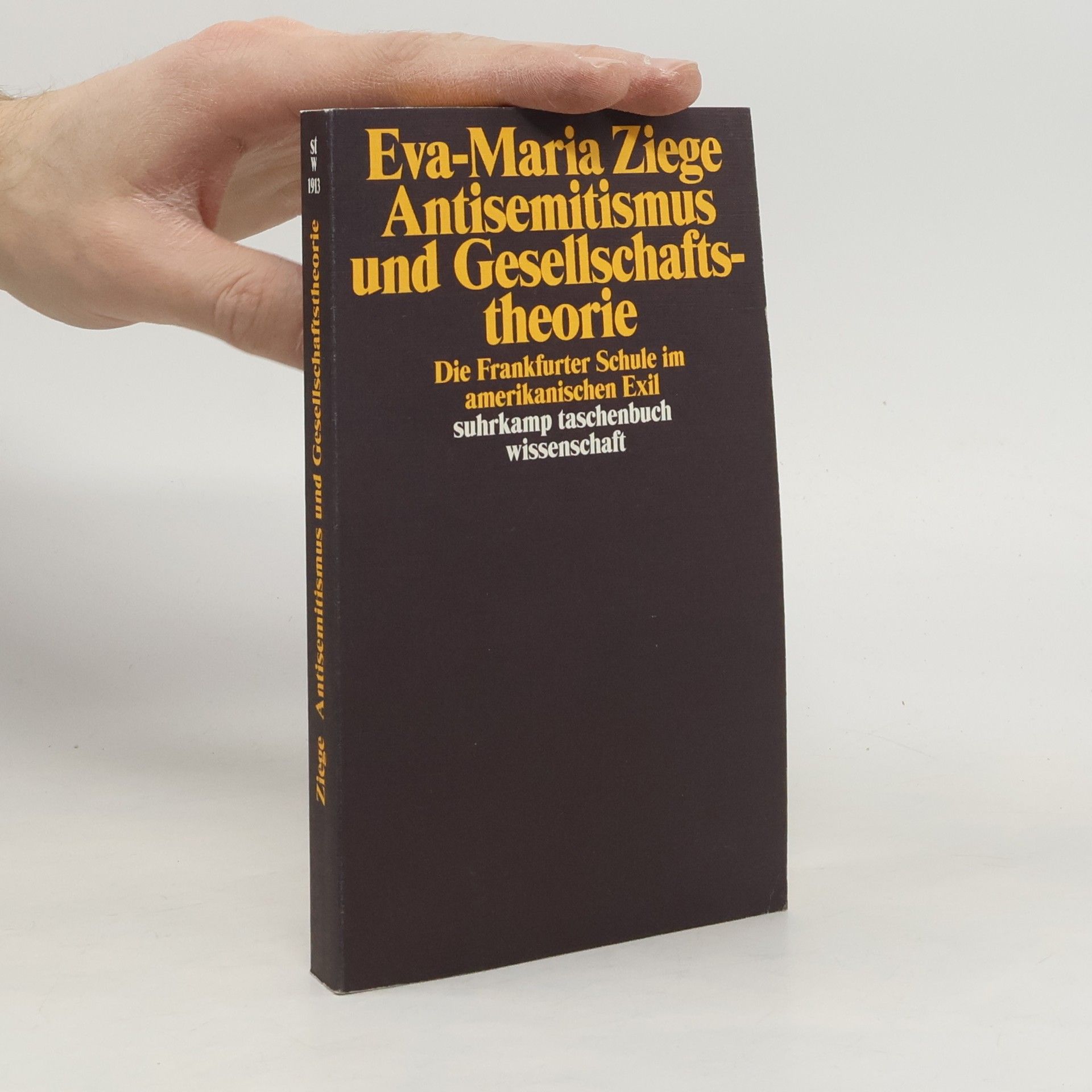 Eva-Maria Ziege Suhrkamp Taschenbuch Wissenschaft - 1913: Antisemitismus und Gesellschaftstheorie