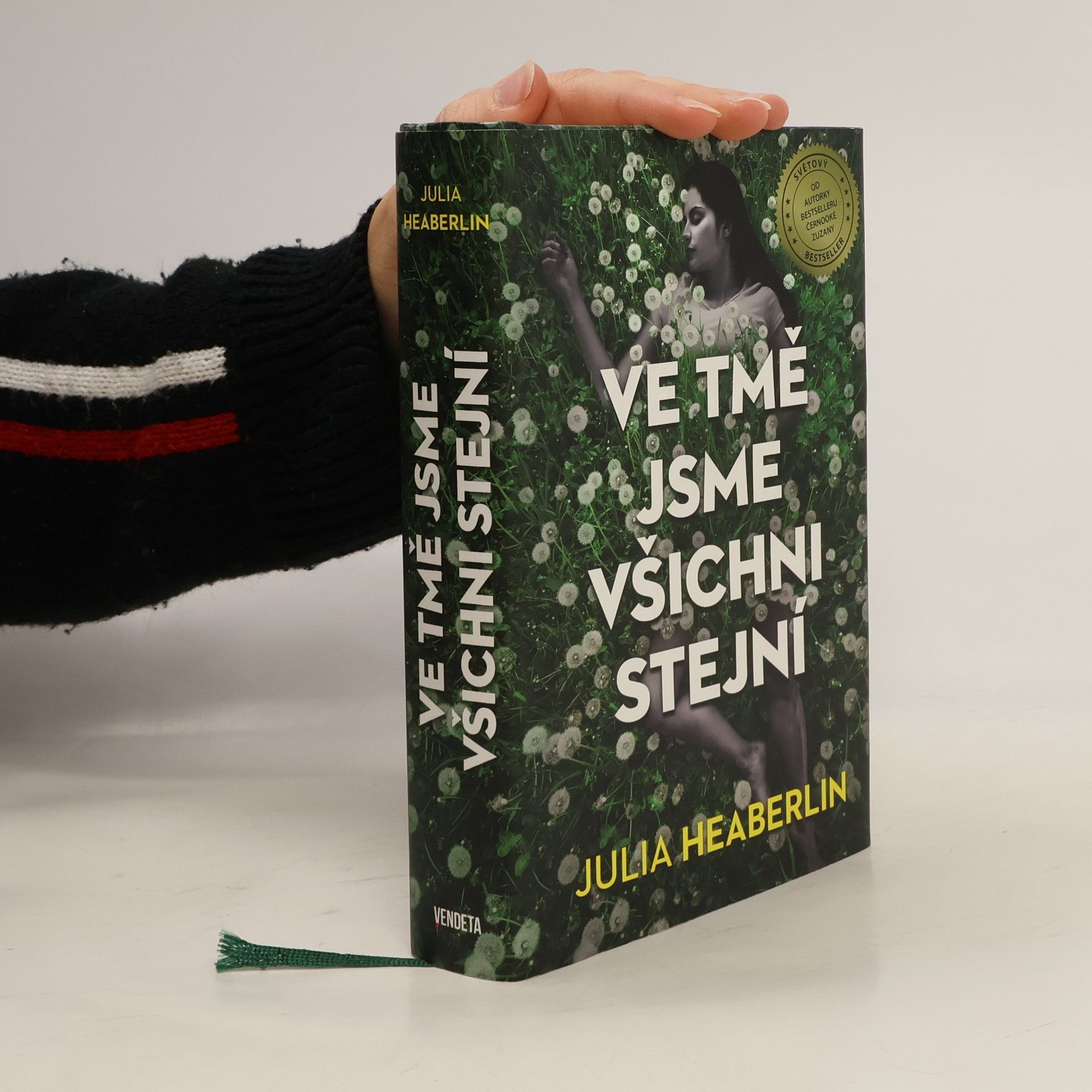 Julia Heaberlin Ve tmě jsme všichni stejní