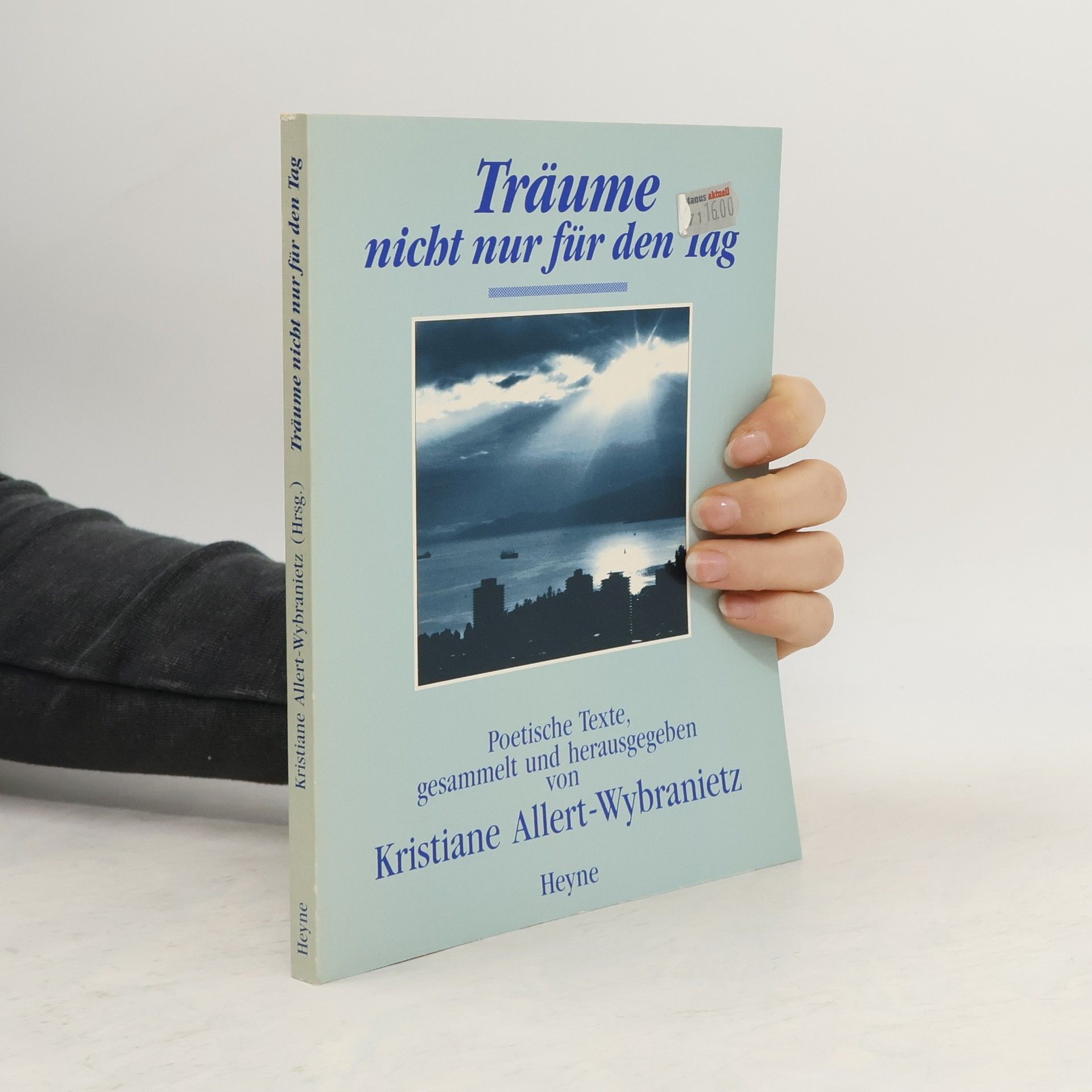 Kristiane Allert-Wybranietz Träume nicht nur für den Tag