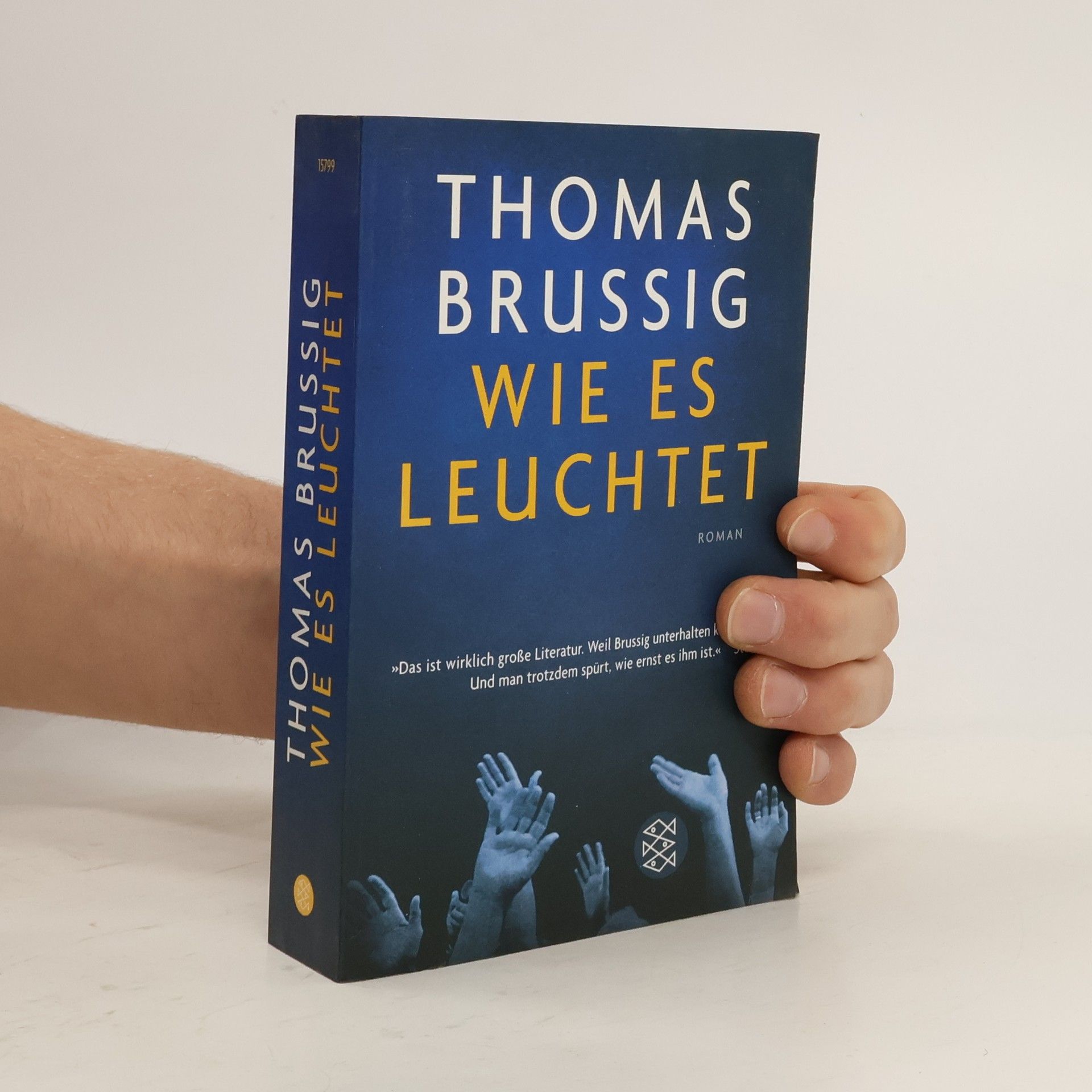 Wie es leuchtet : Roman