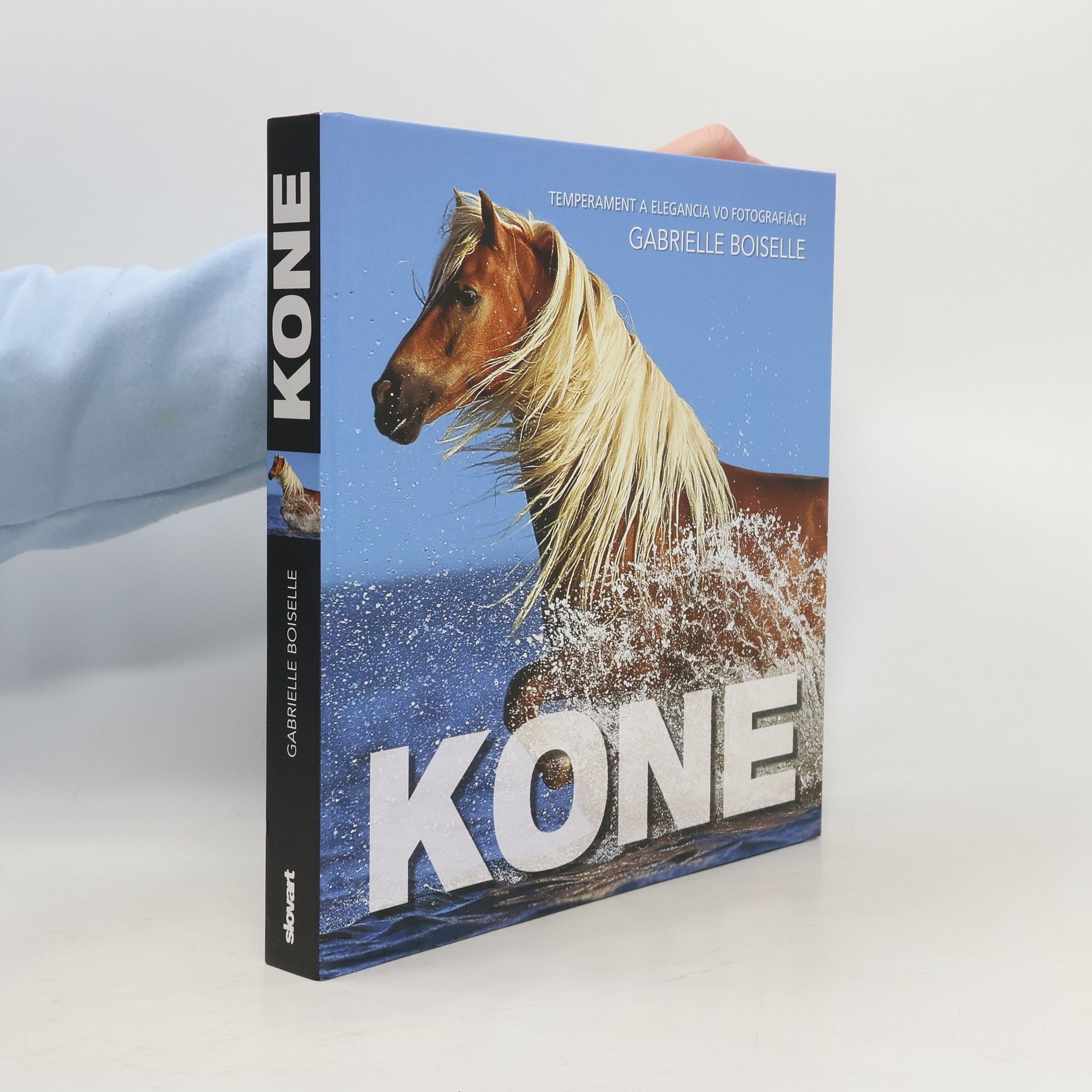 Gabriele Boiselle Kone