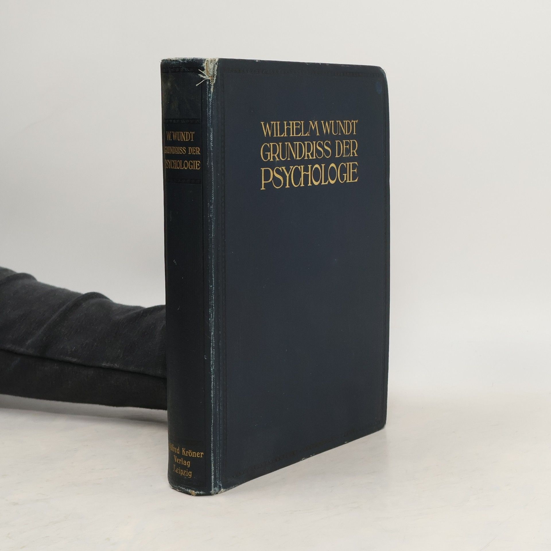 Grundriss der Psychologie