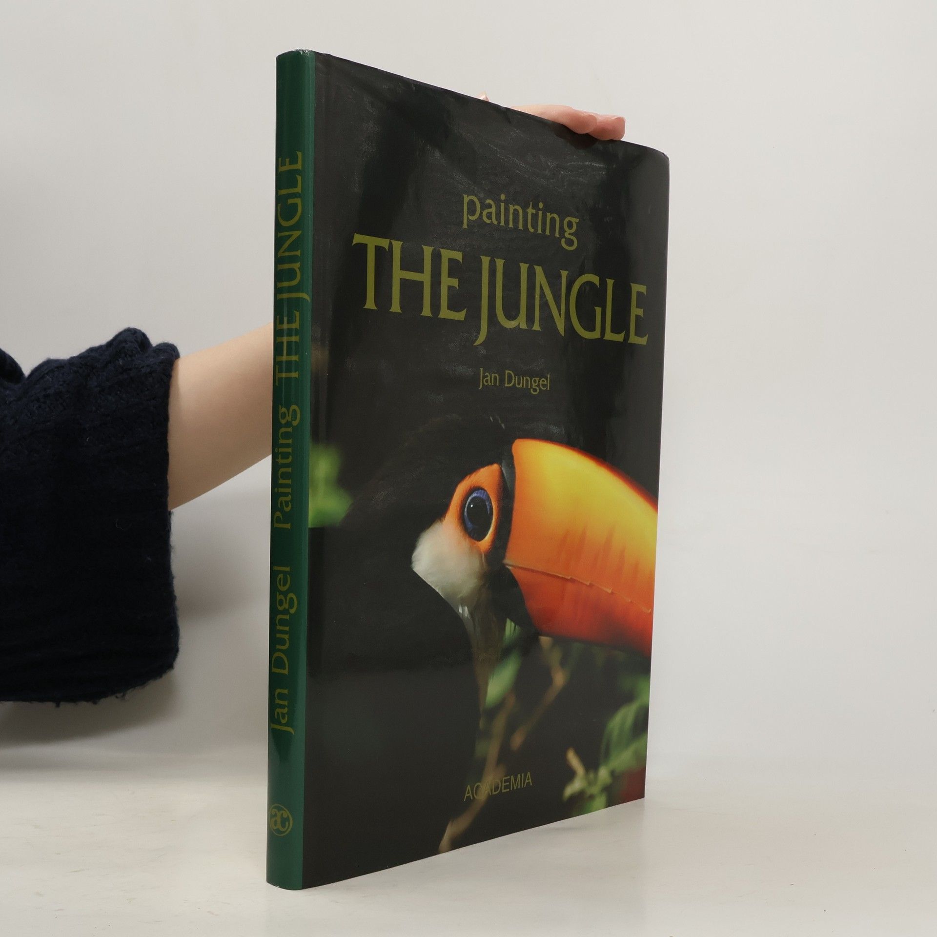 Jan Dungel Painting the jungle