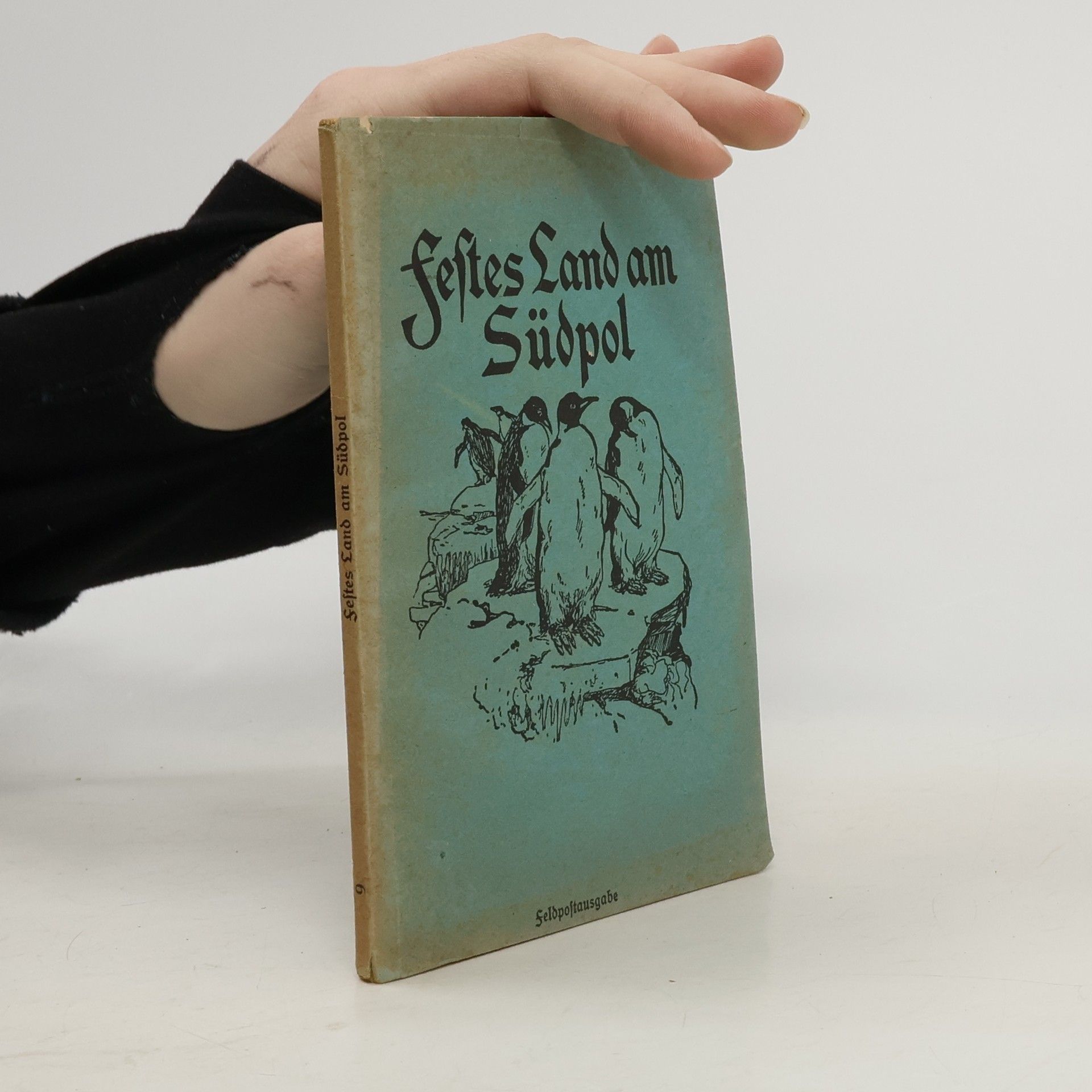 Festes Land am Südpol