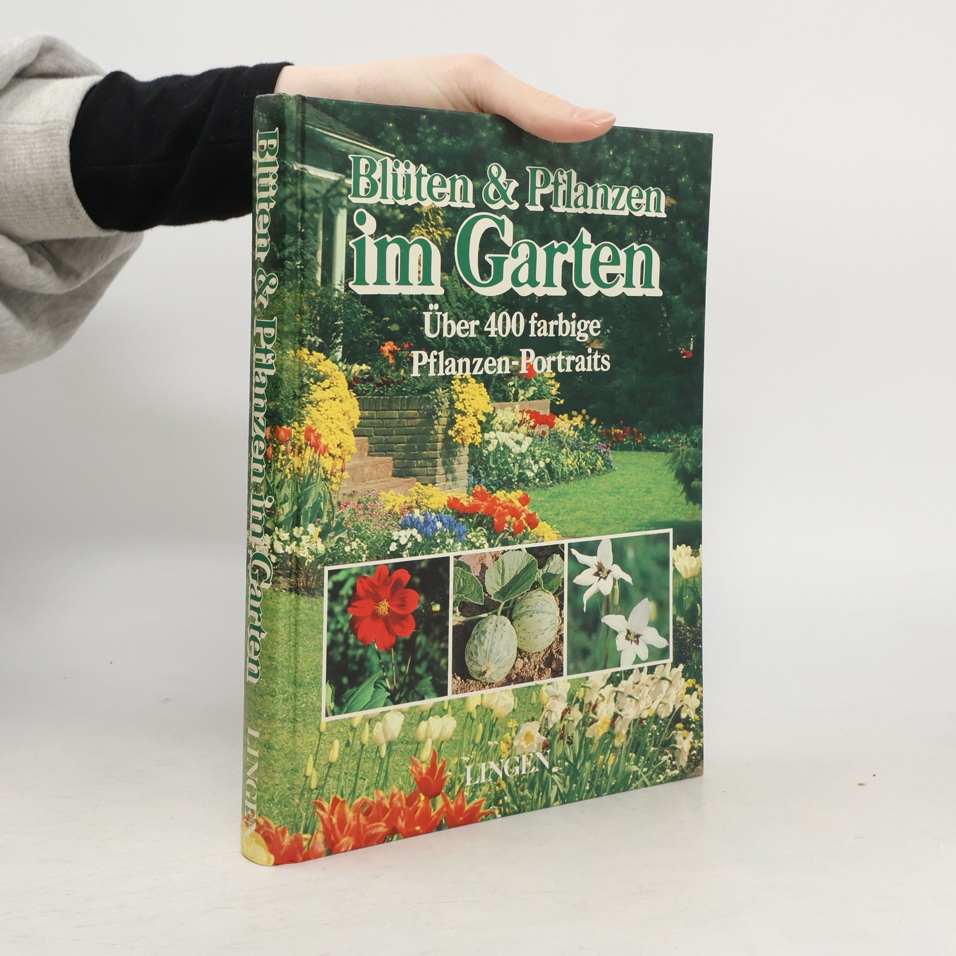 Autorenkollektiv Blüten & Pflanzen im Garten