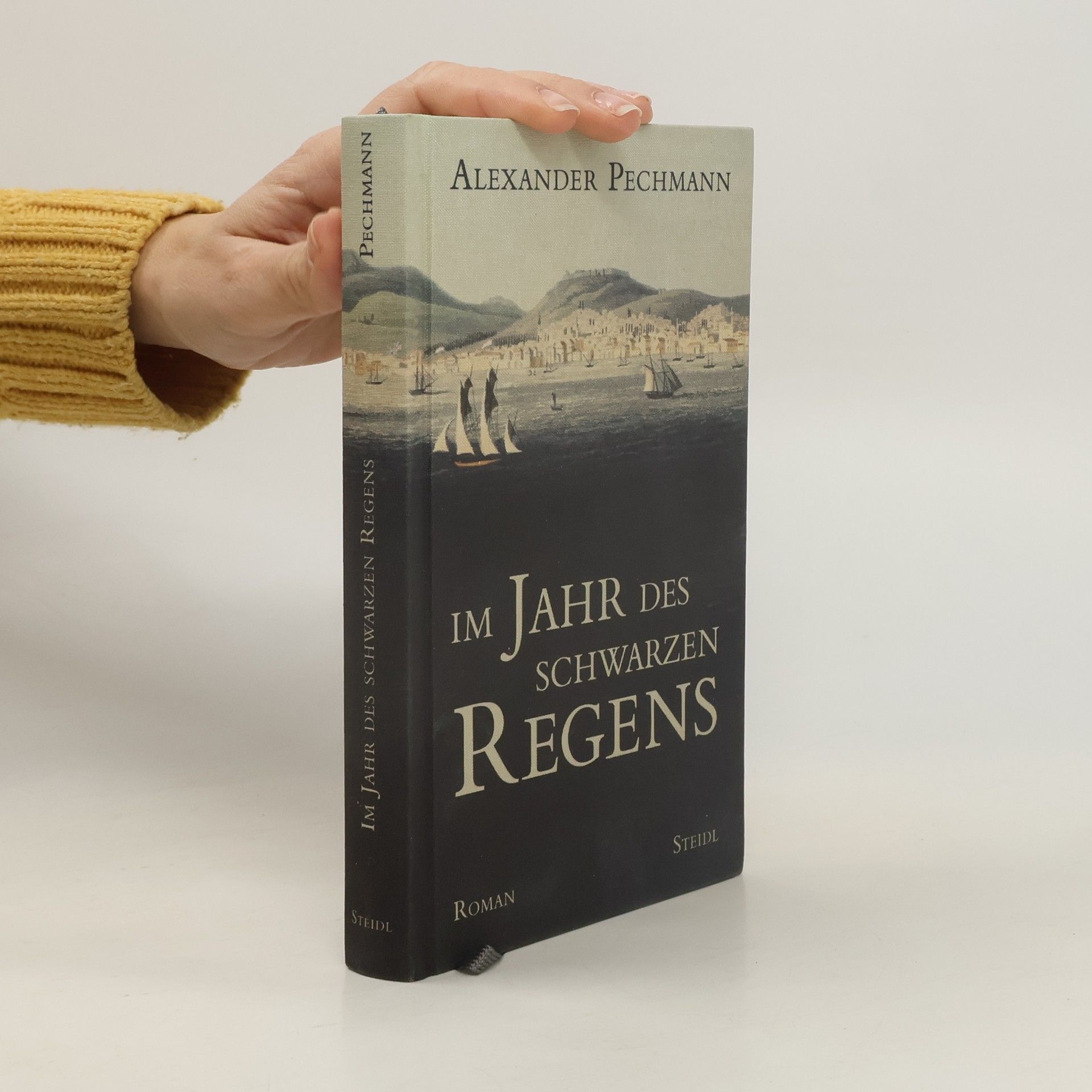 Im Jahr des schwarzen Regens