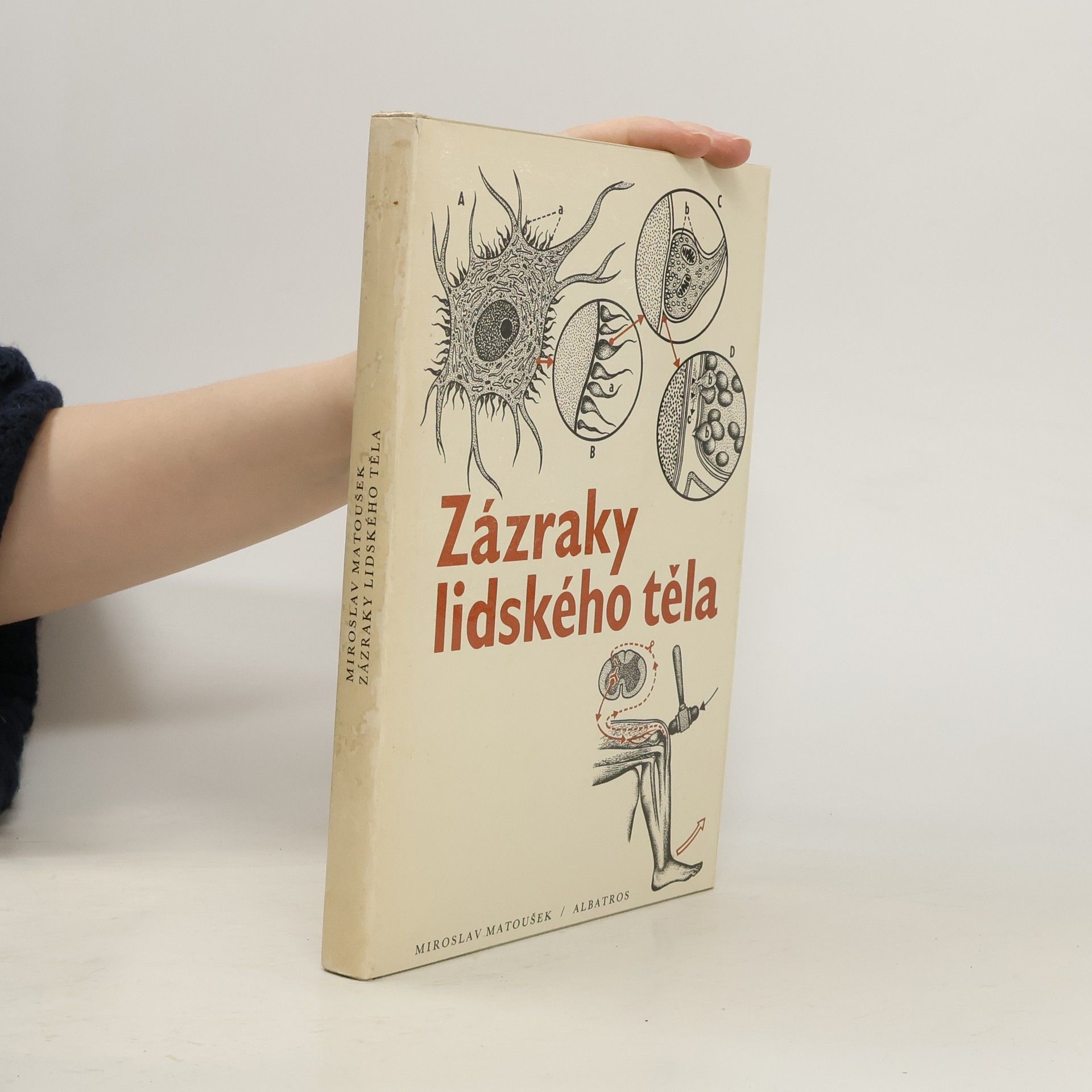 Zázraky lidského těla