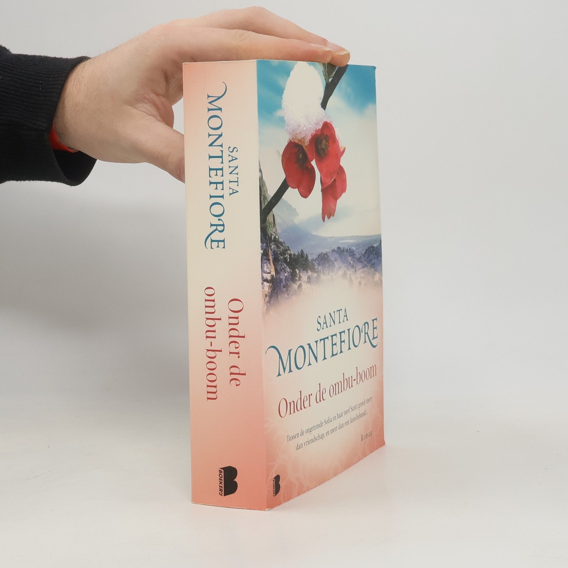 Santa Montefiore Libelle Bibliotheek: Onder de ombu-boom