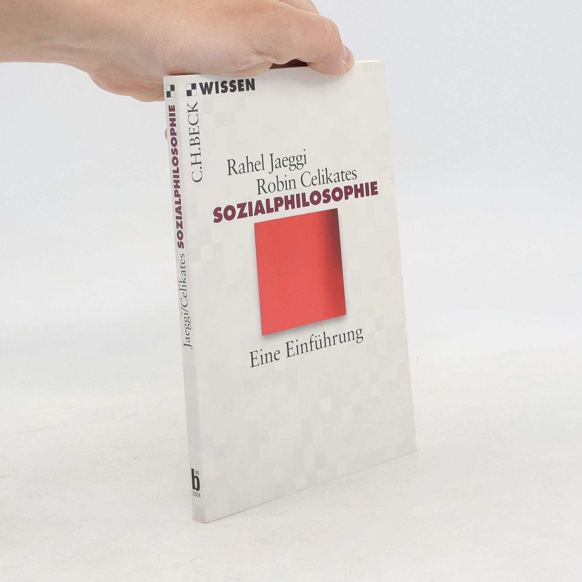 Rahel Jaeggi Sozialphilosophie