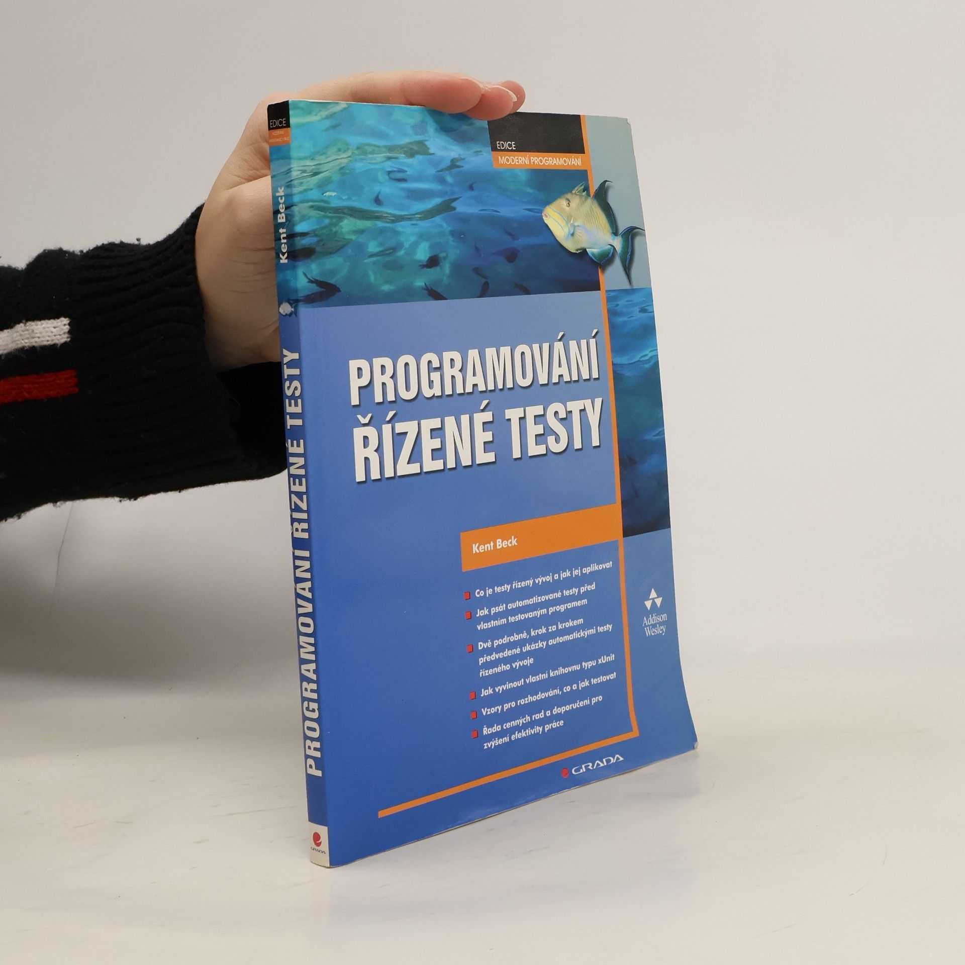 Kent Beck Programování řízené testy
