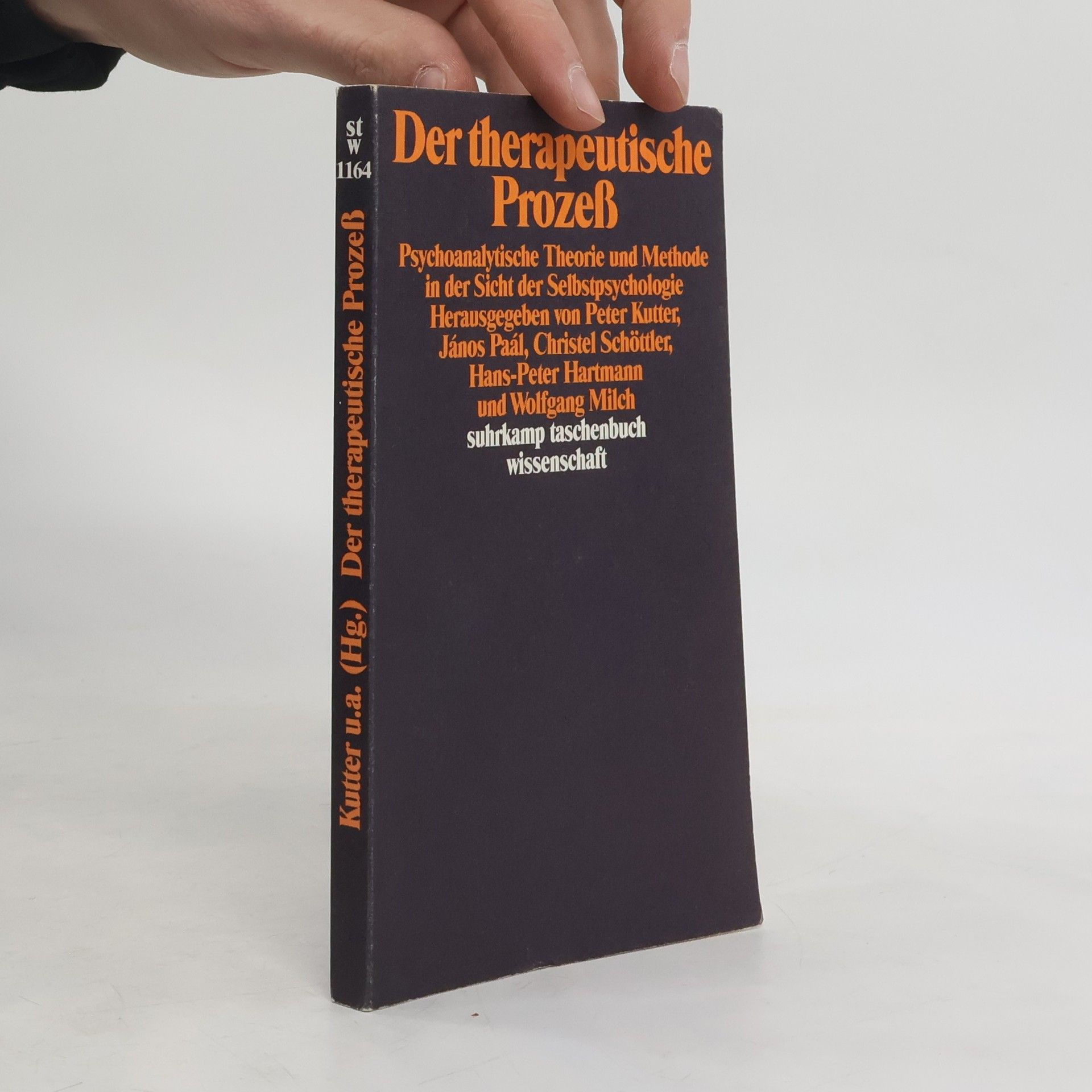 Suhrkamp Taschenbuch Wissenschaft - 1164: Der therapeutische Prozess
