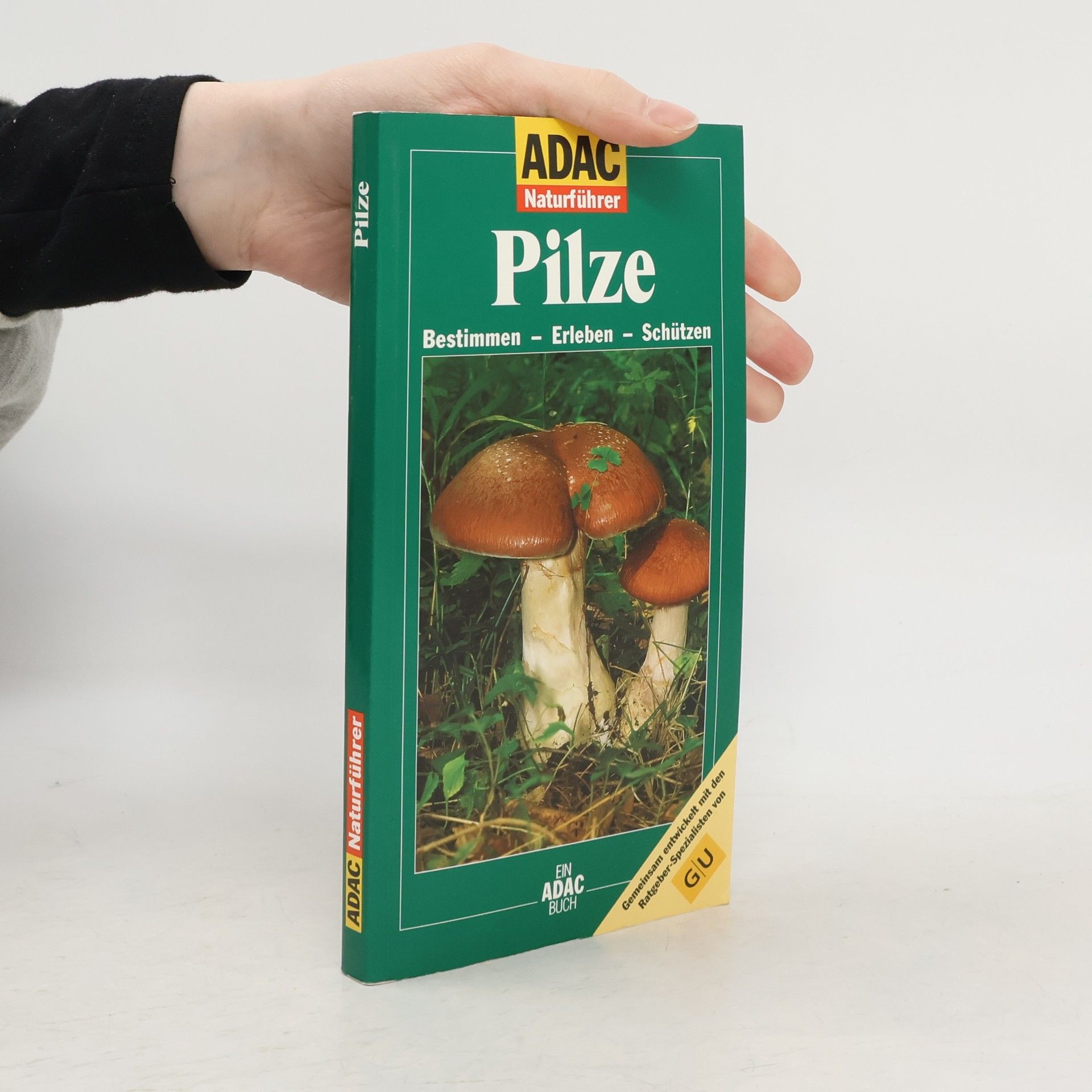 Robert Hofrichter Pilze