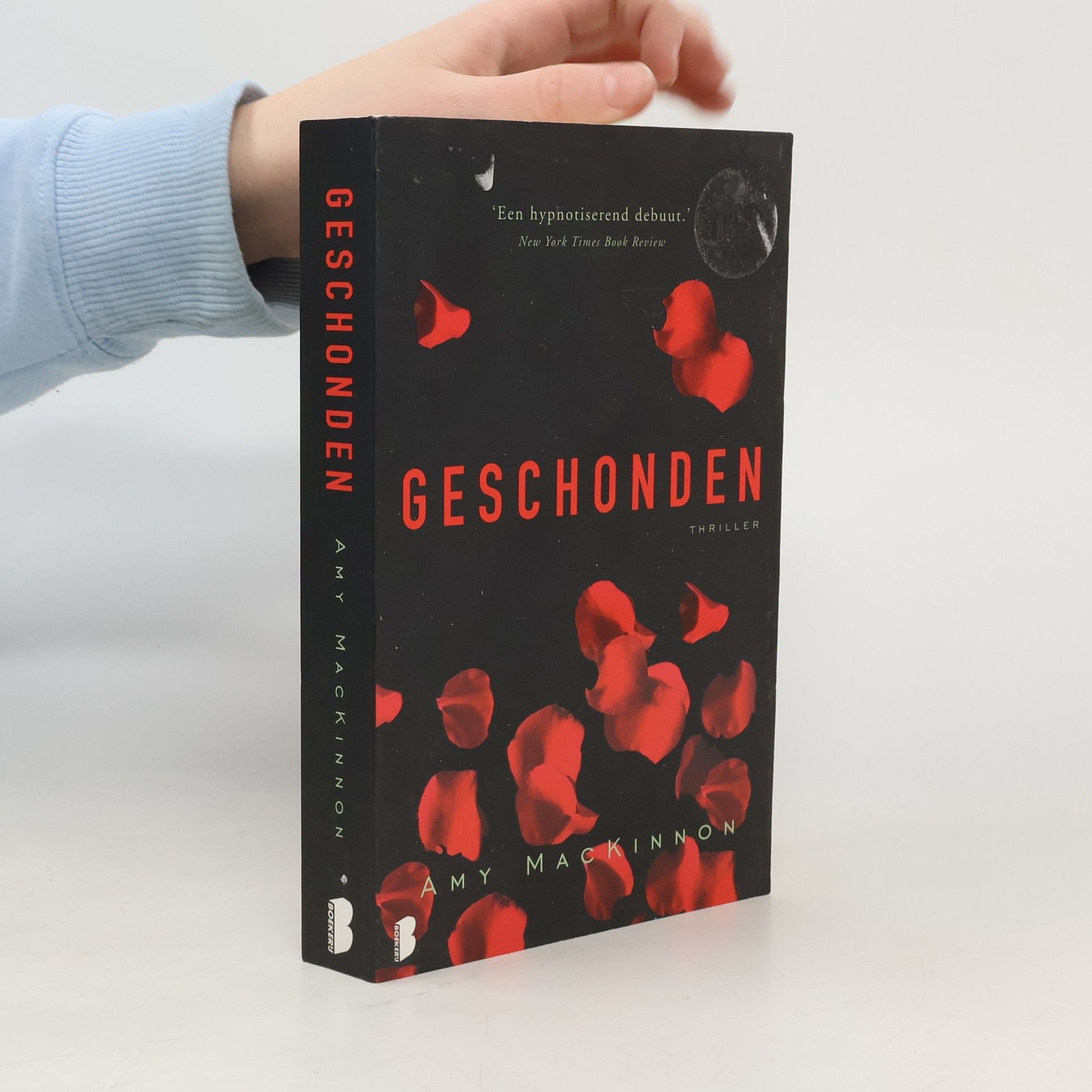 Amy MacKinnon Geschonden