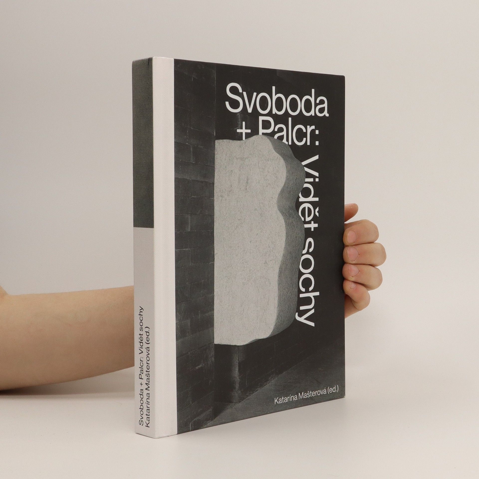 Jan Svoboda Svoboda + Palcr : vidět sochy