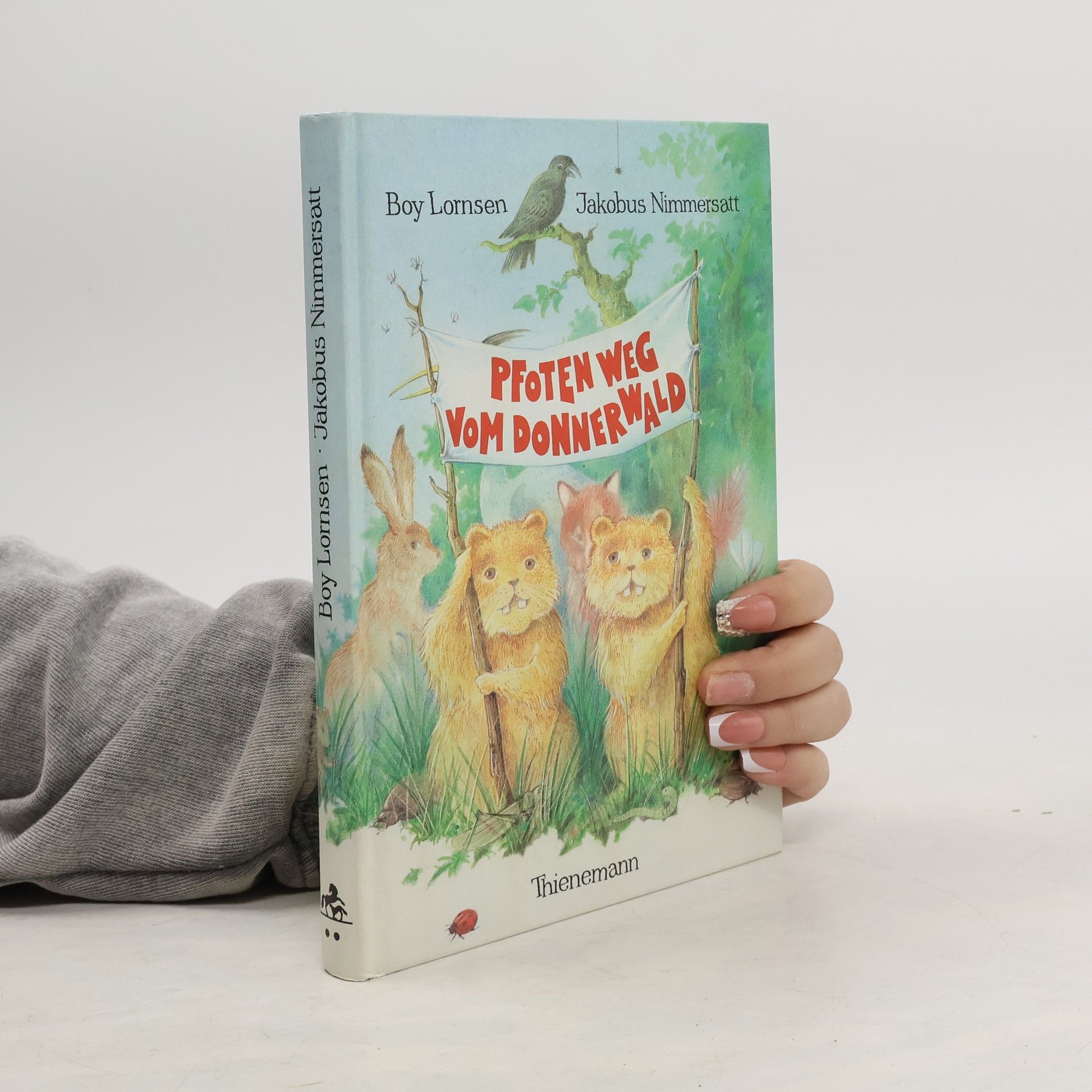 Boy Lornsen Pfoten weg vom Donnerwald