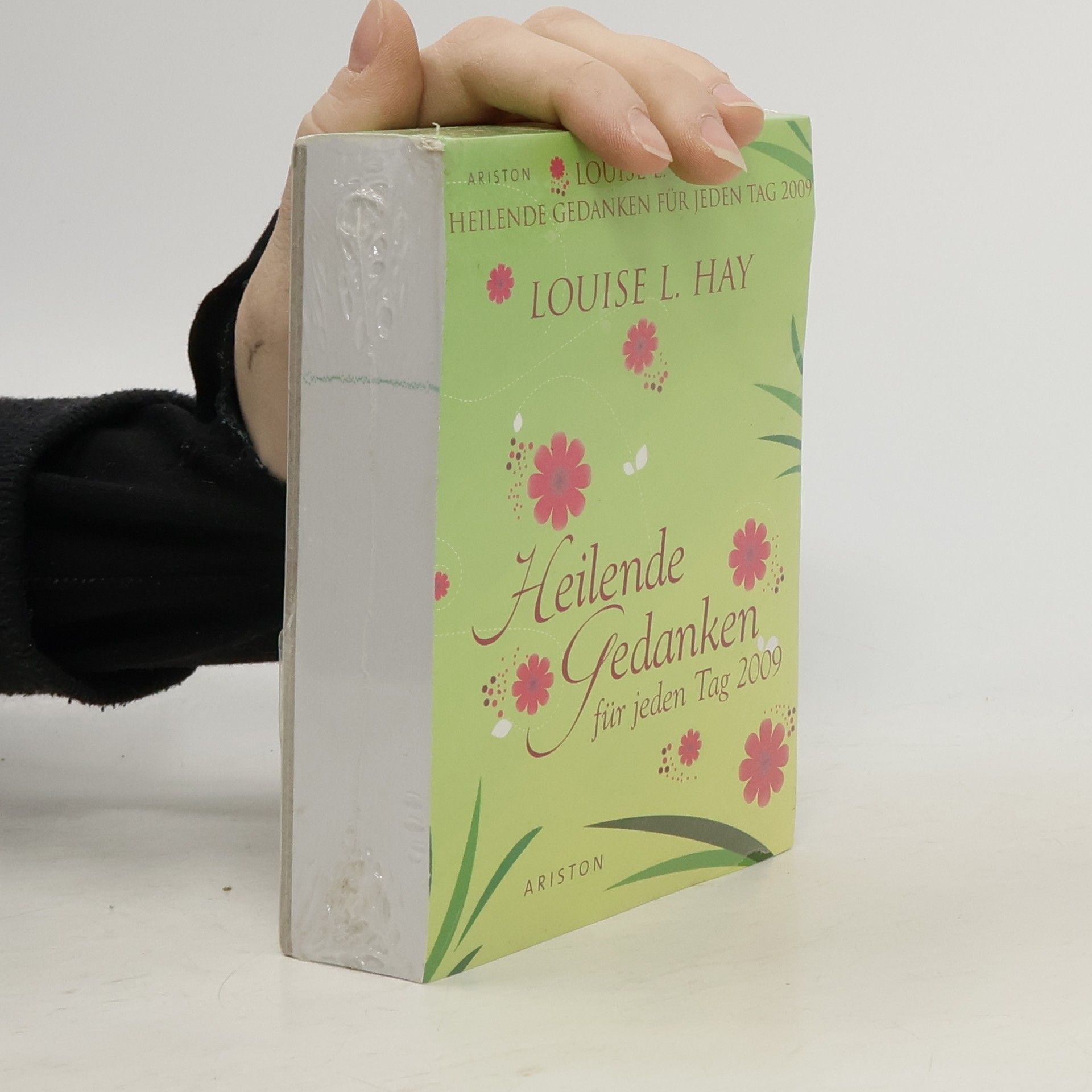 Louise Lynn Hay Heilende Gedanken für jeden Tag 2009