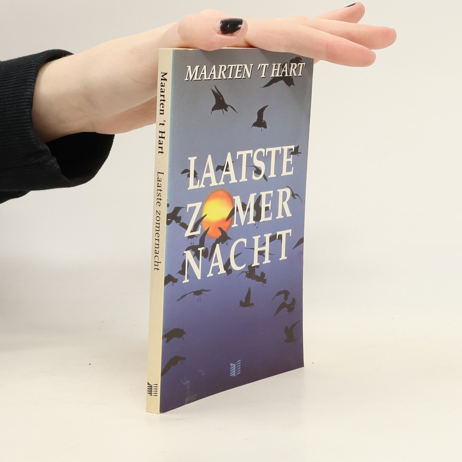 Maarten 't Hart Laatste zomernacht