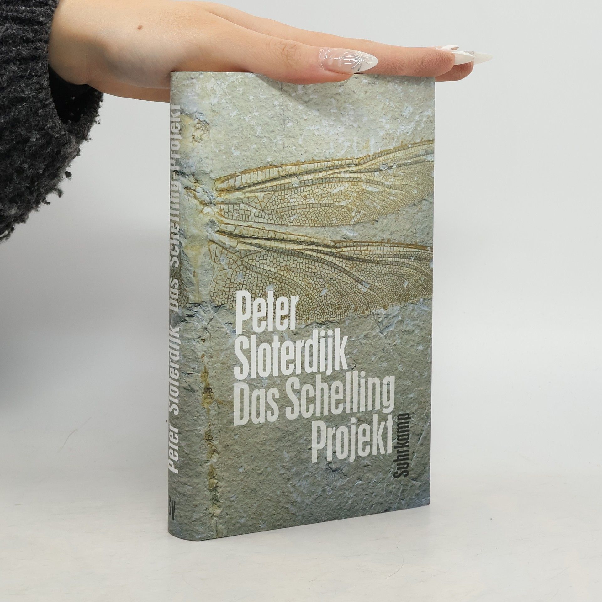 Peter Sloterdijk Das Schelling-Projekt