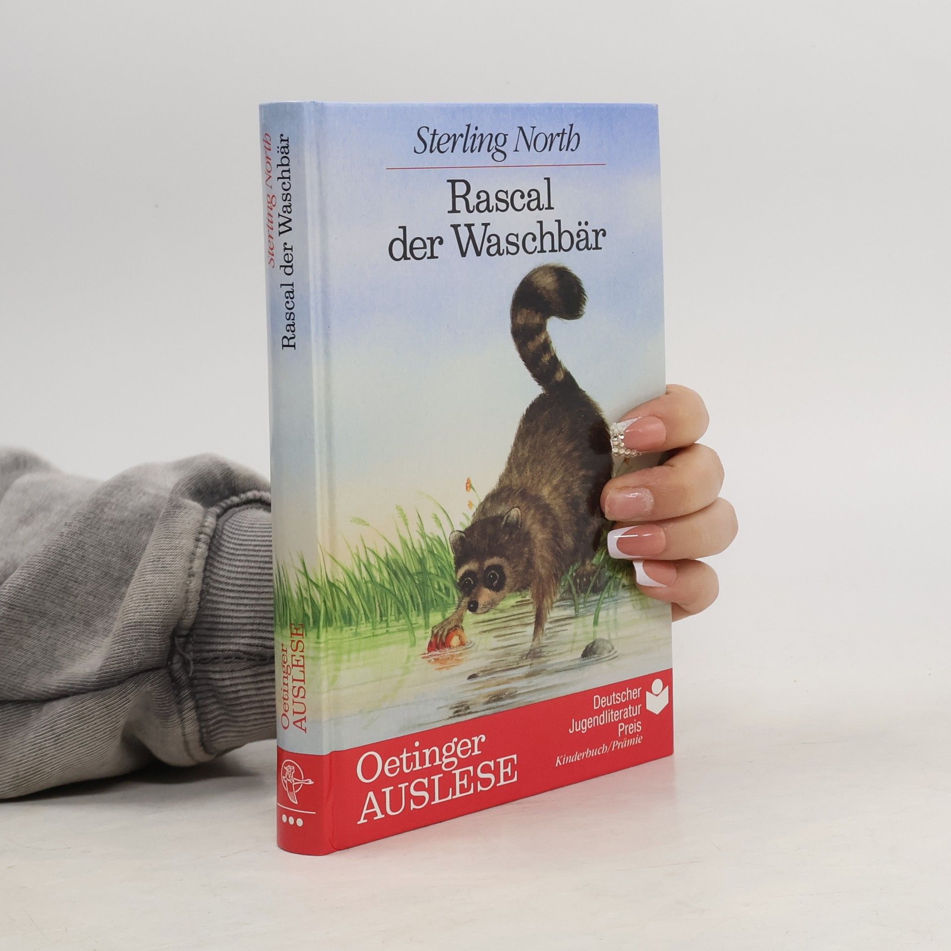 Rascal der Waschbär