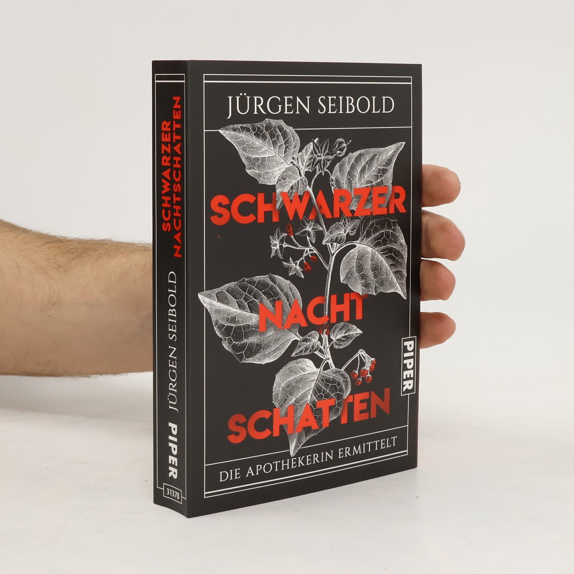 Jürgen Seibold Schwarzer Nachtschatten