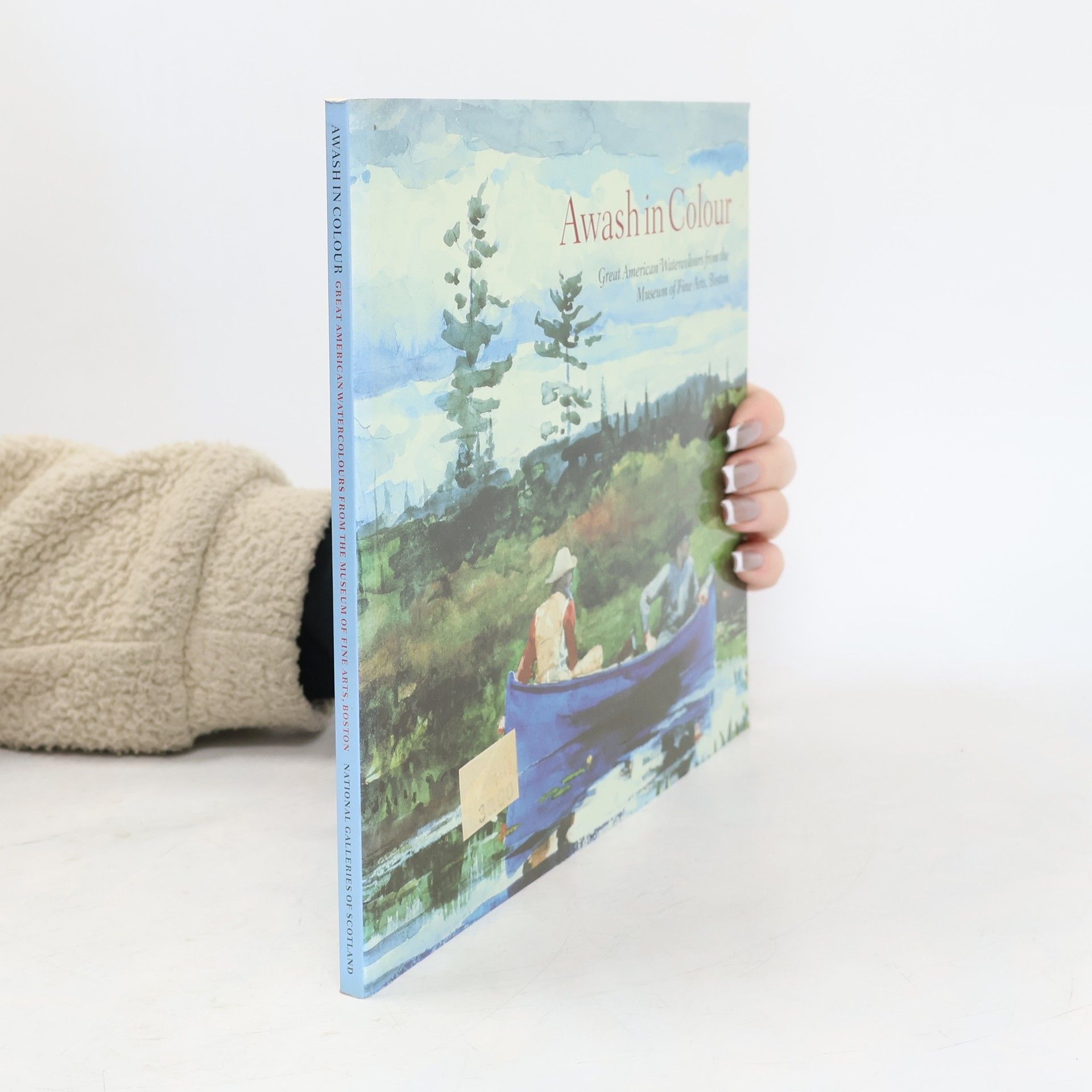 Sue Welsh Reed Awash in Colour