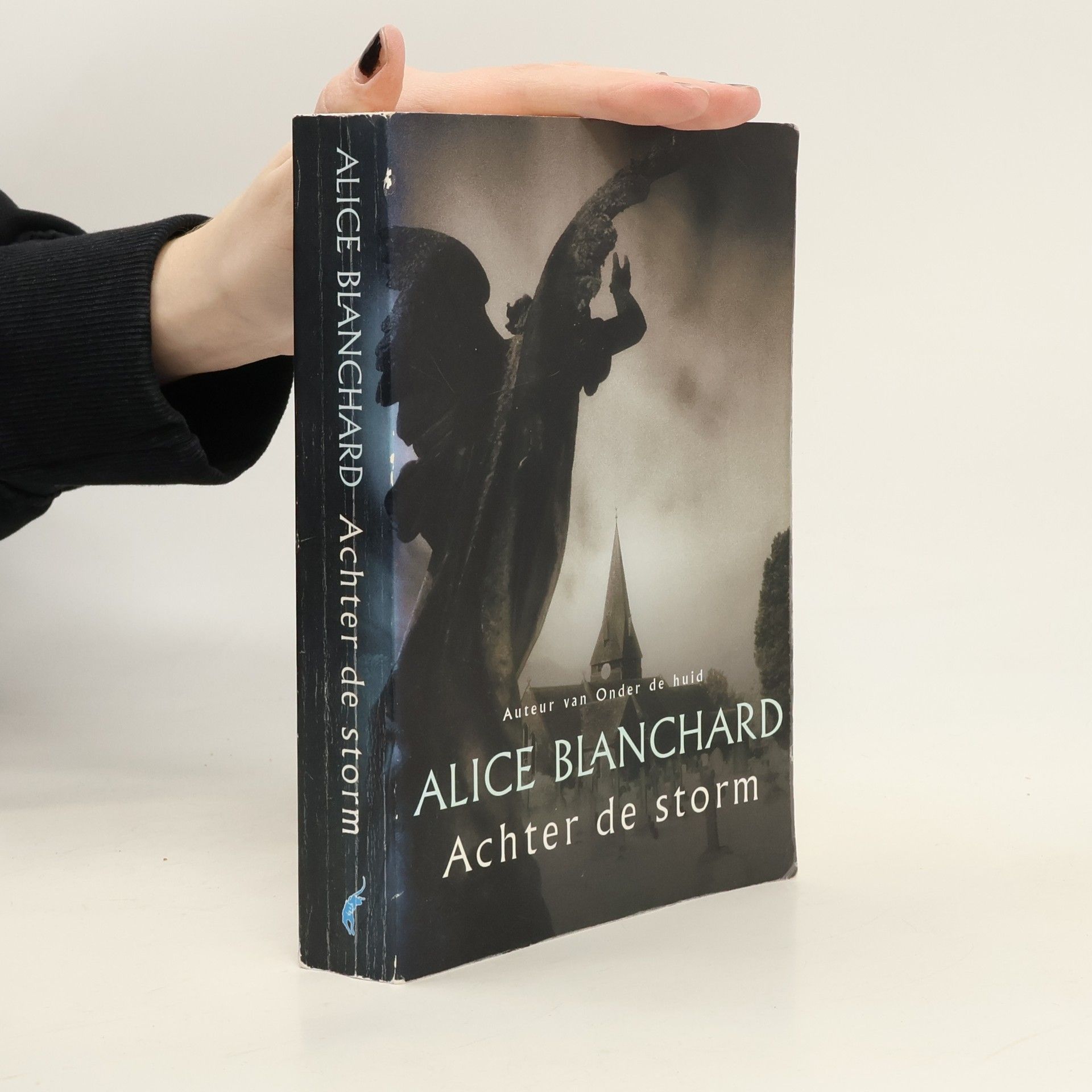 Henny van Gulik Achter de storm