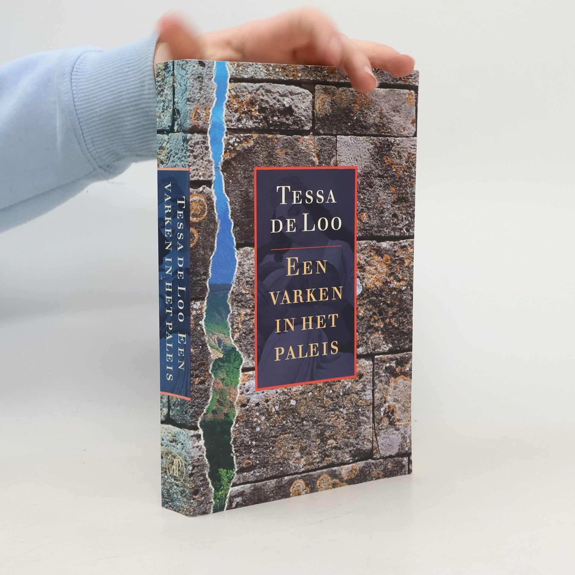 Tessa de Loo Een varken in het paleis