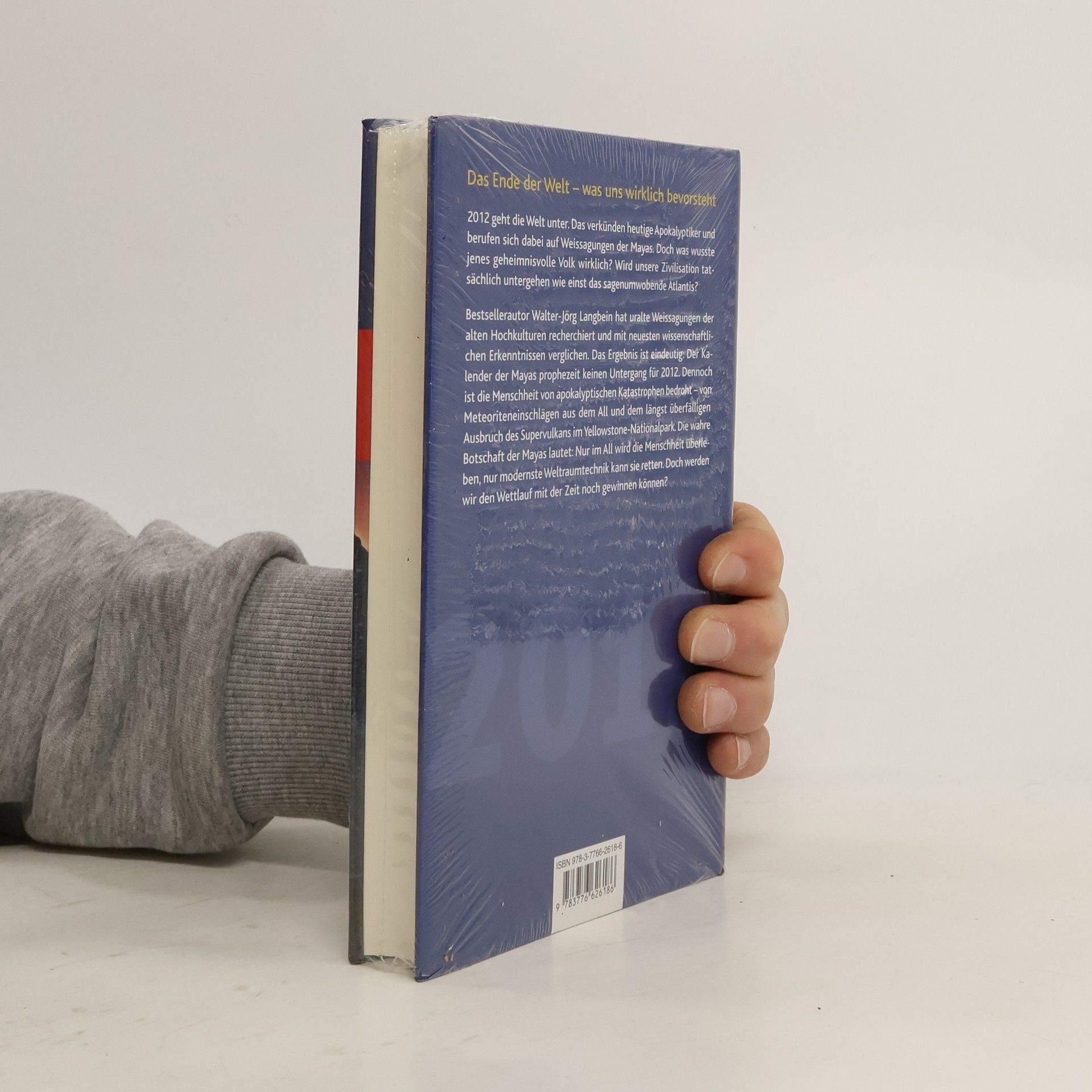 Walter-Jörg Langbein 2012 - Endzeit und Neuanfang