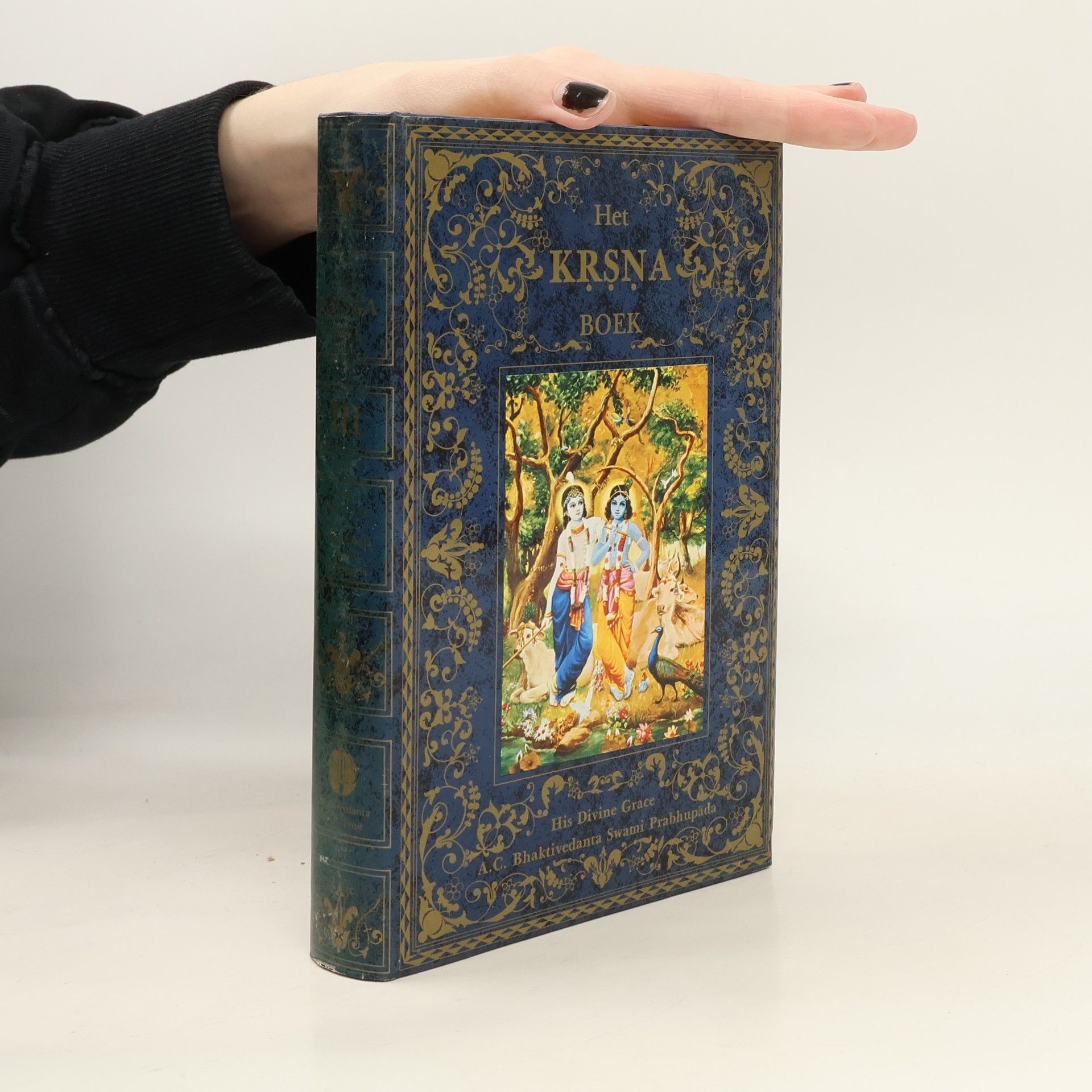 Autorenkollektiv Het Krsna boek II