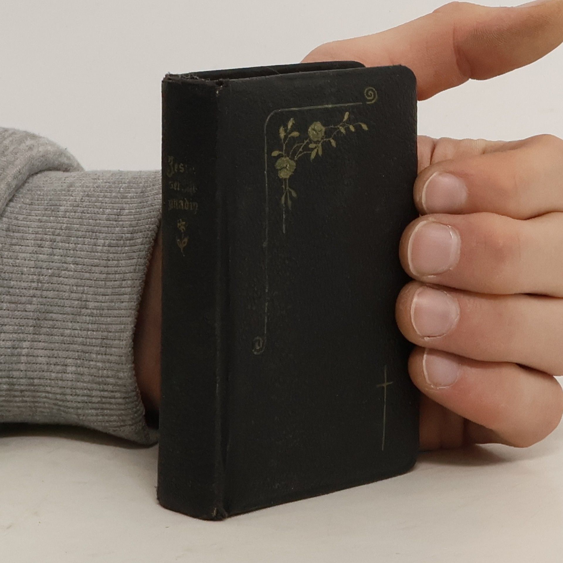 Ildefons Munding Jesus, sei mir gnädig