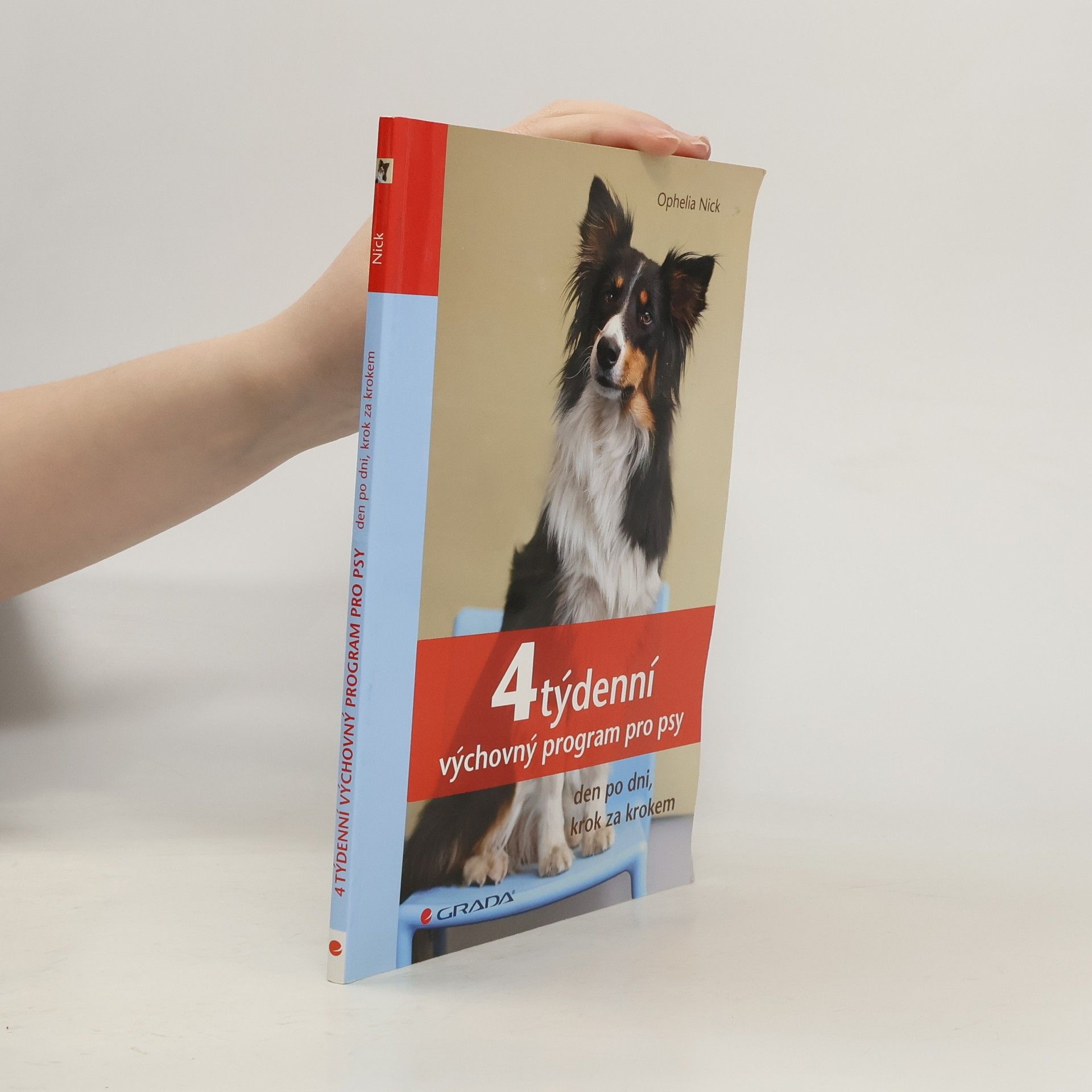 4týdenní výchovný program pro psy