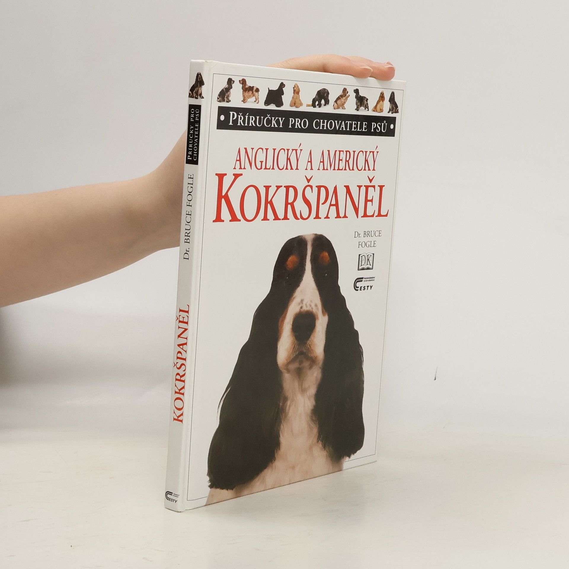 Anglický a americký kokršpaněl