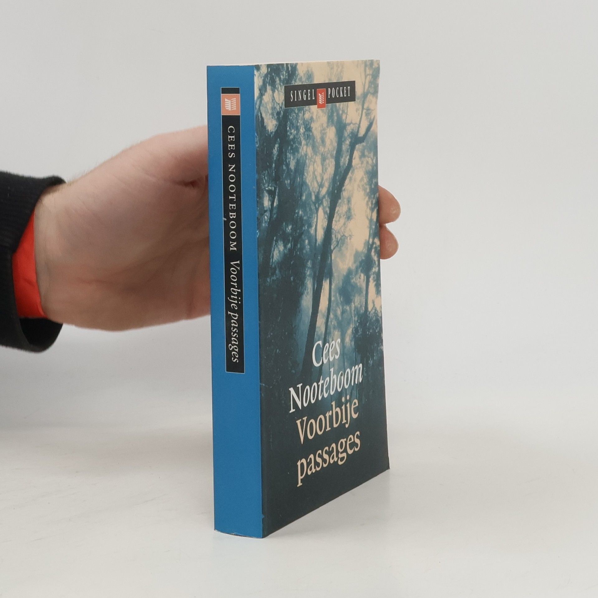 Cees Nooteboom Voorbije passages