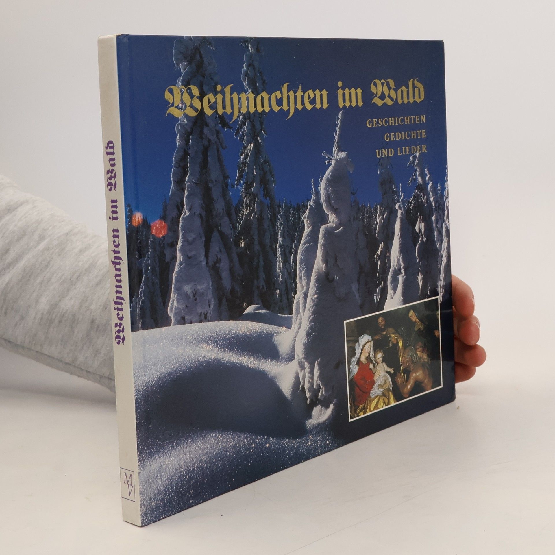 Autorenkollektiv Weihnachten im Wald