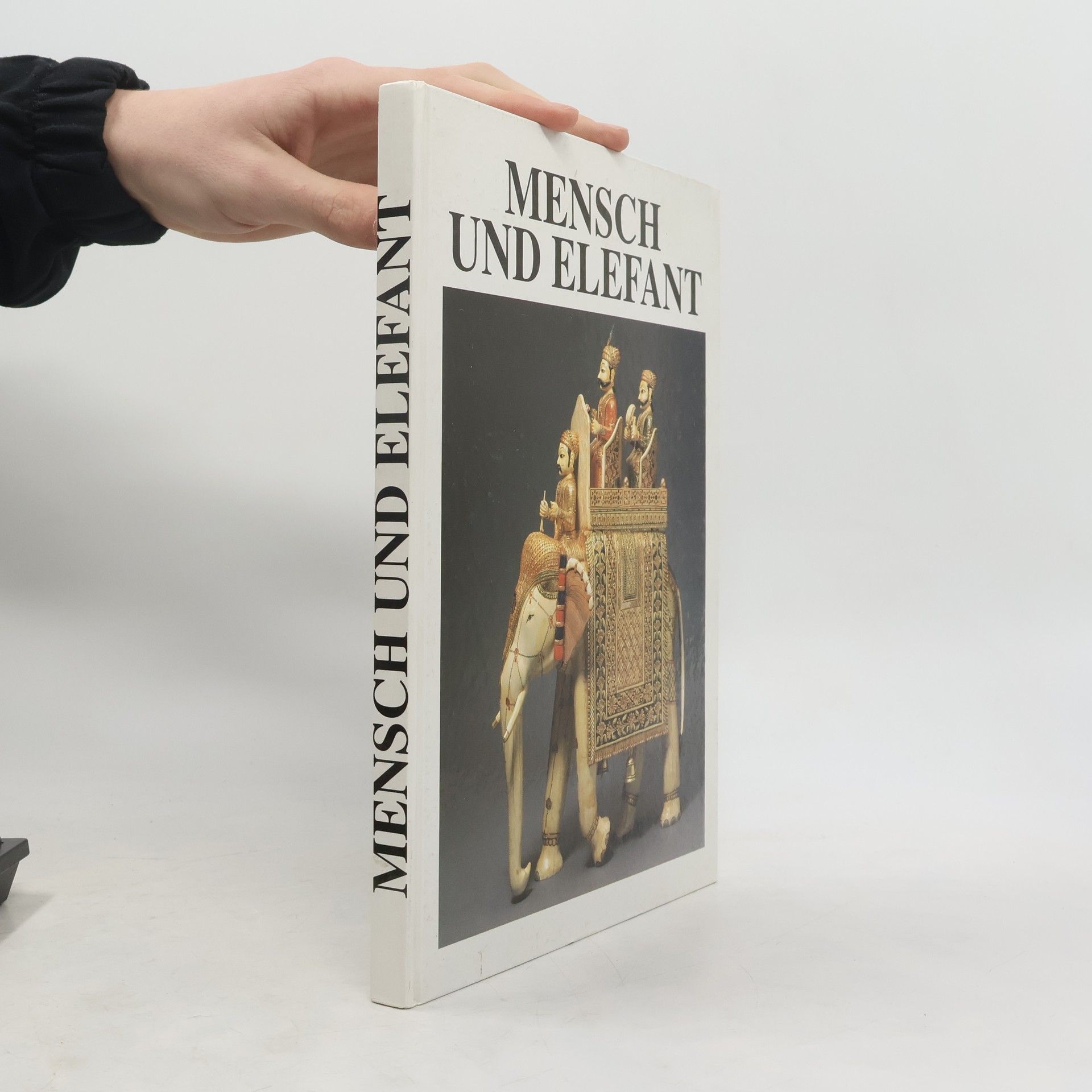 Wolfgang Stein Mensch und Elefant