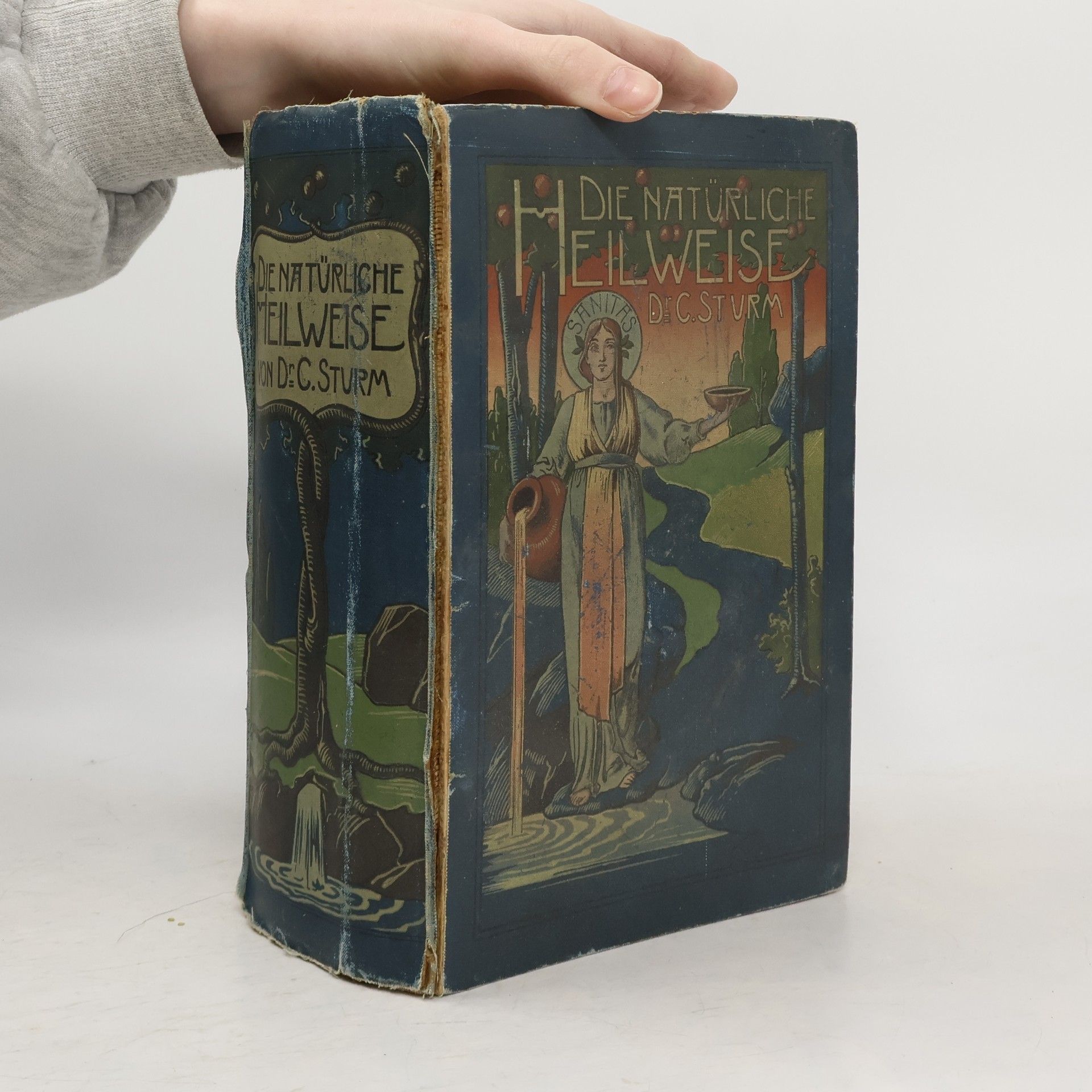 Die natürliche Heilweise